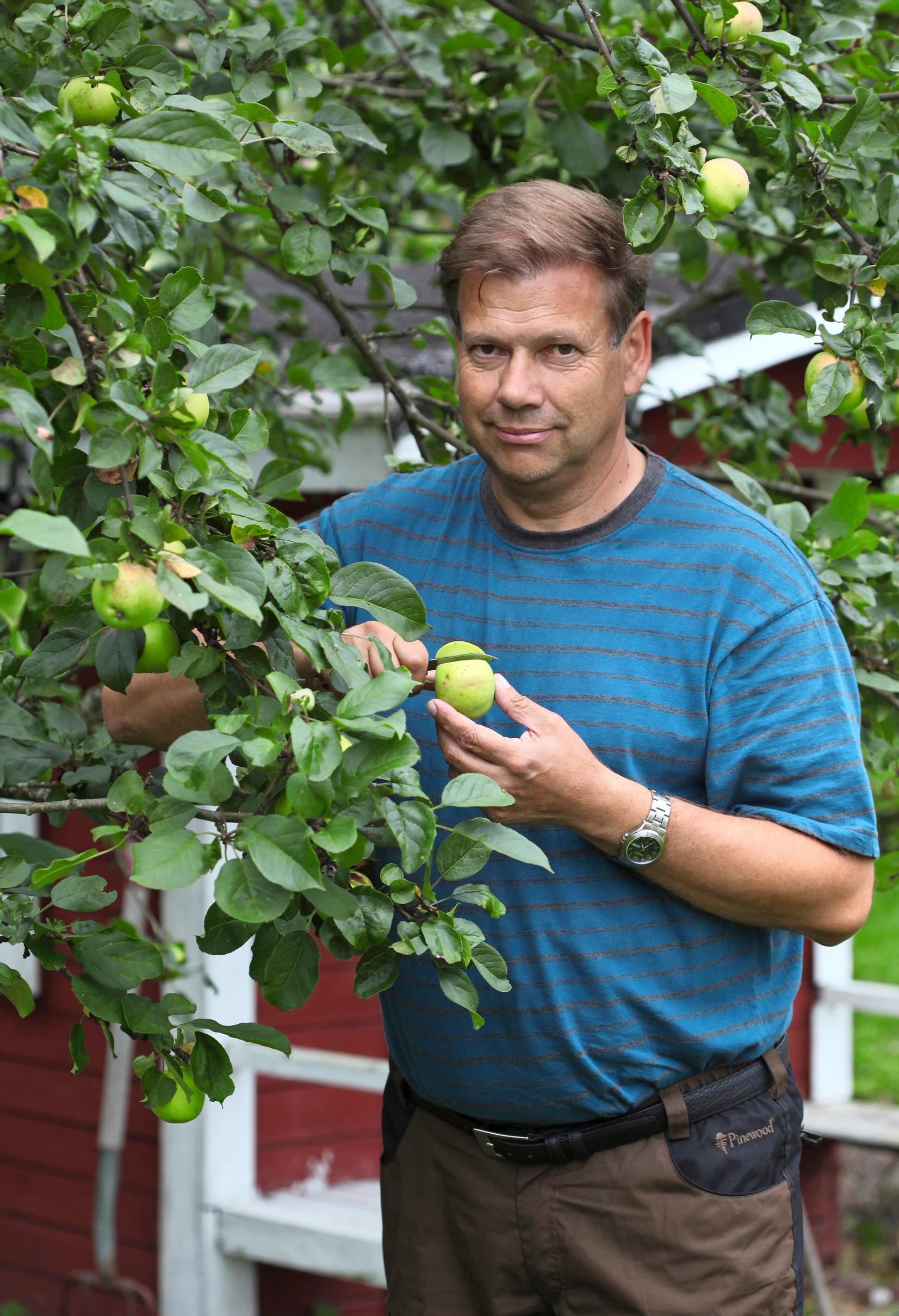 Leif Blomqvist