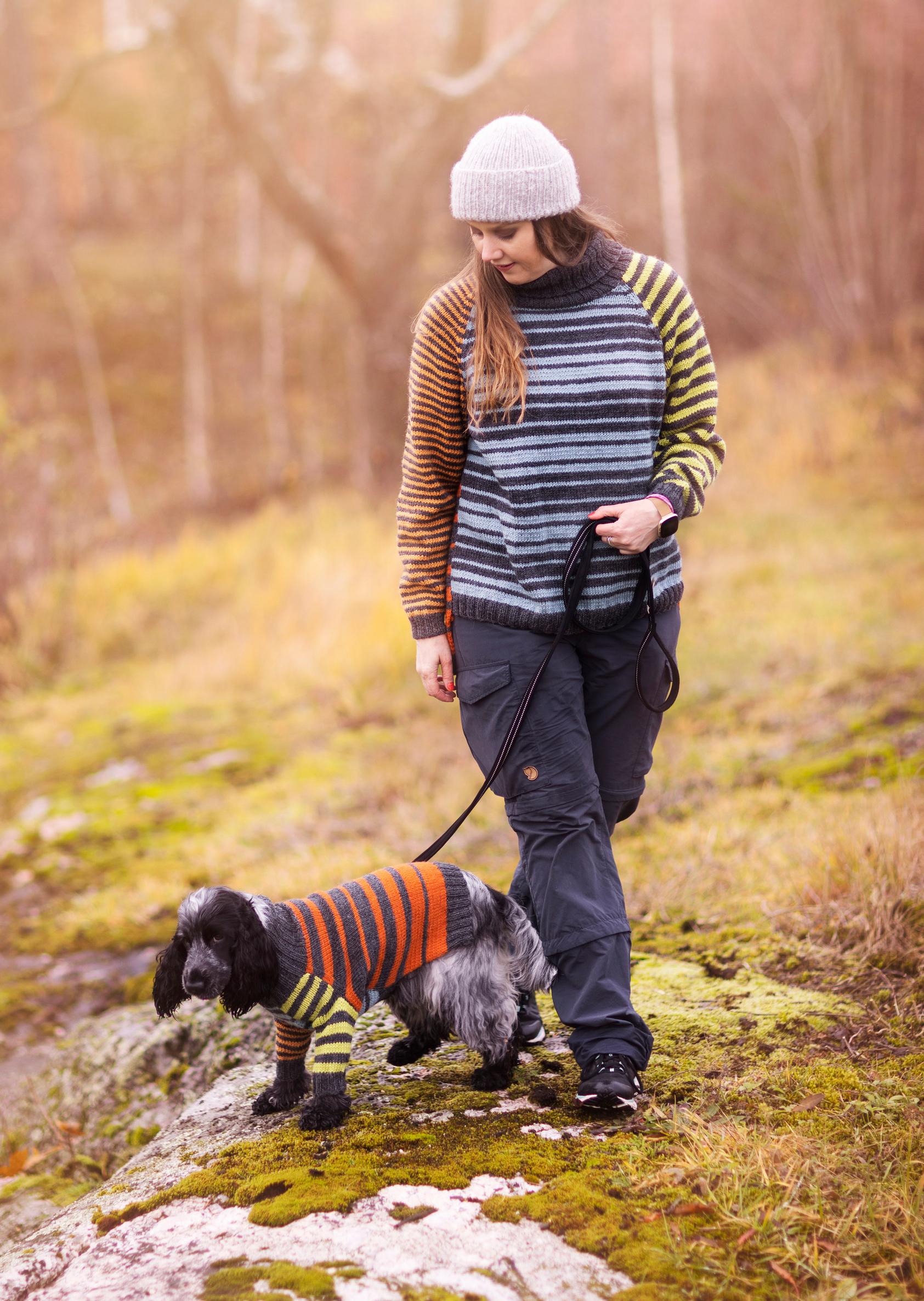 Koiran ja omistajan neuleet mallien päällä