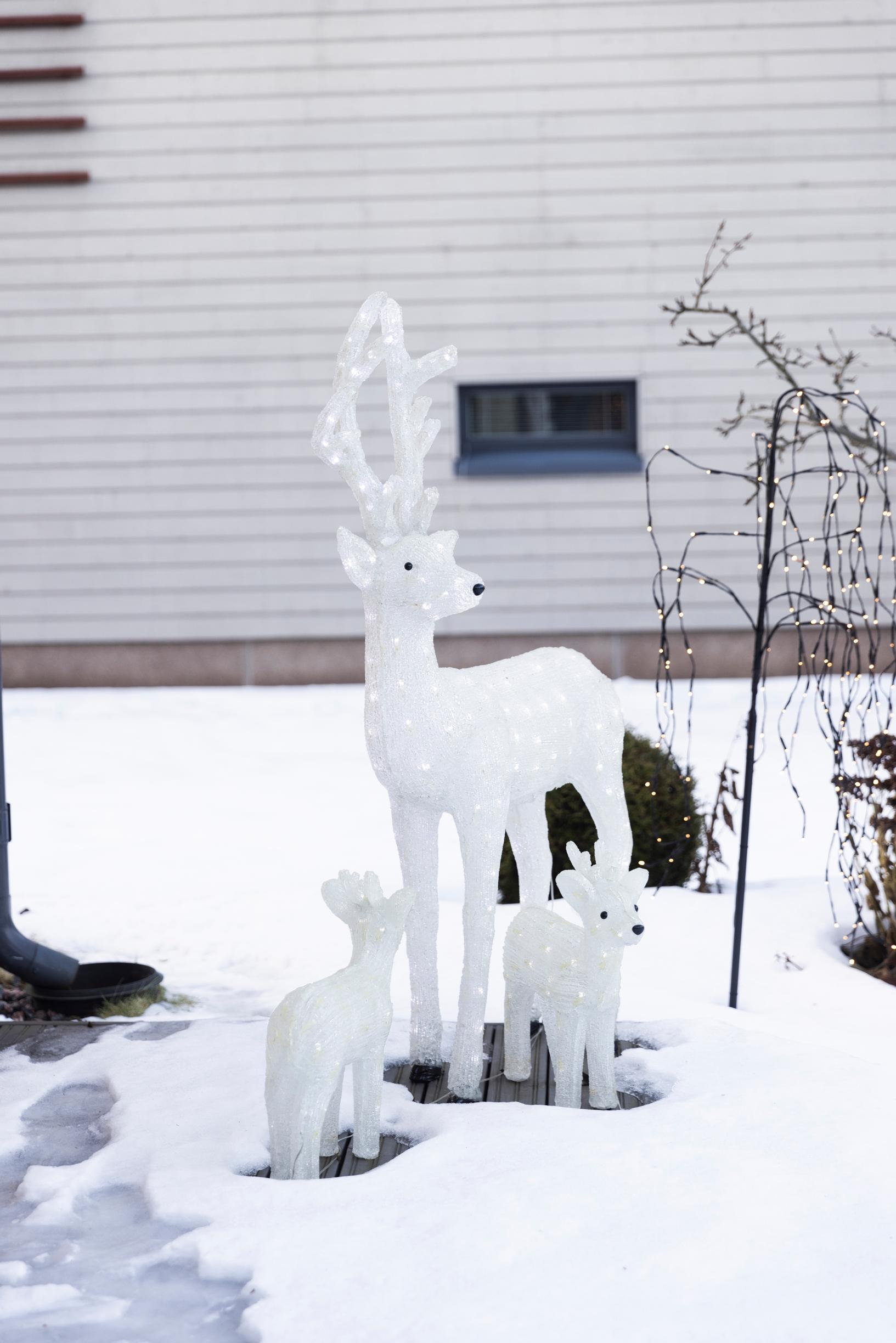 Valoporoja lumen keskellä.