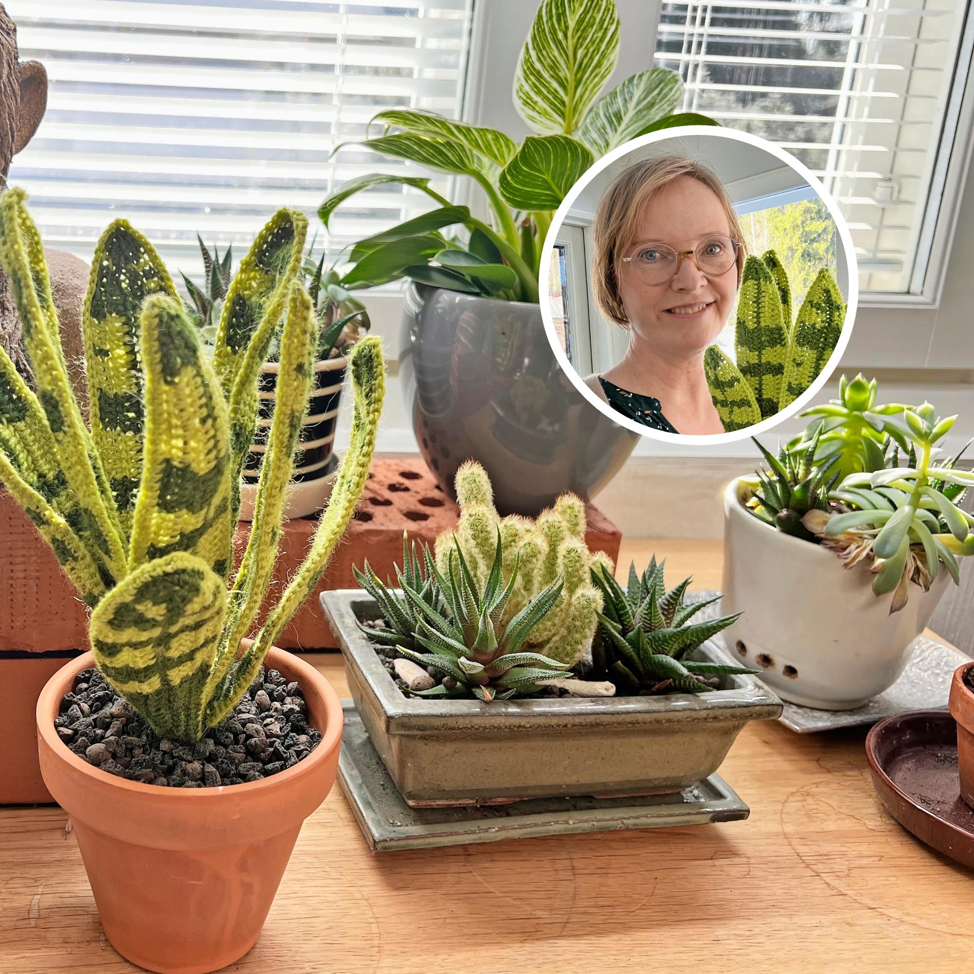 Onpa hienoja virkattuja viherkasveja! ”Välillä mietin sekunnin murto-osan, että annanpa niillekin vettä”