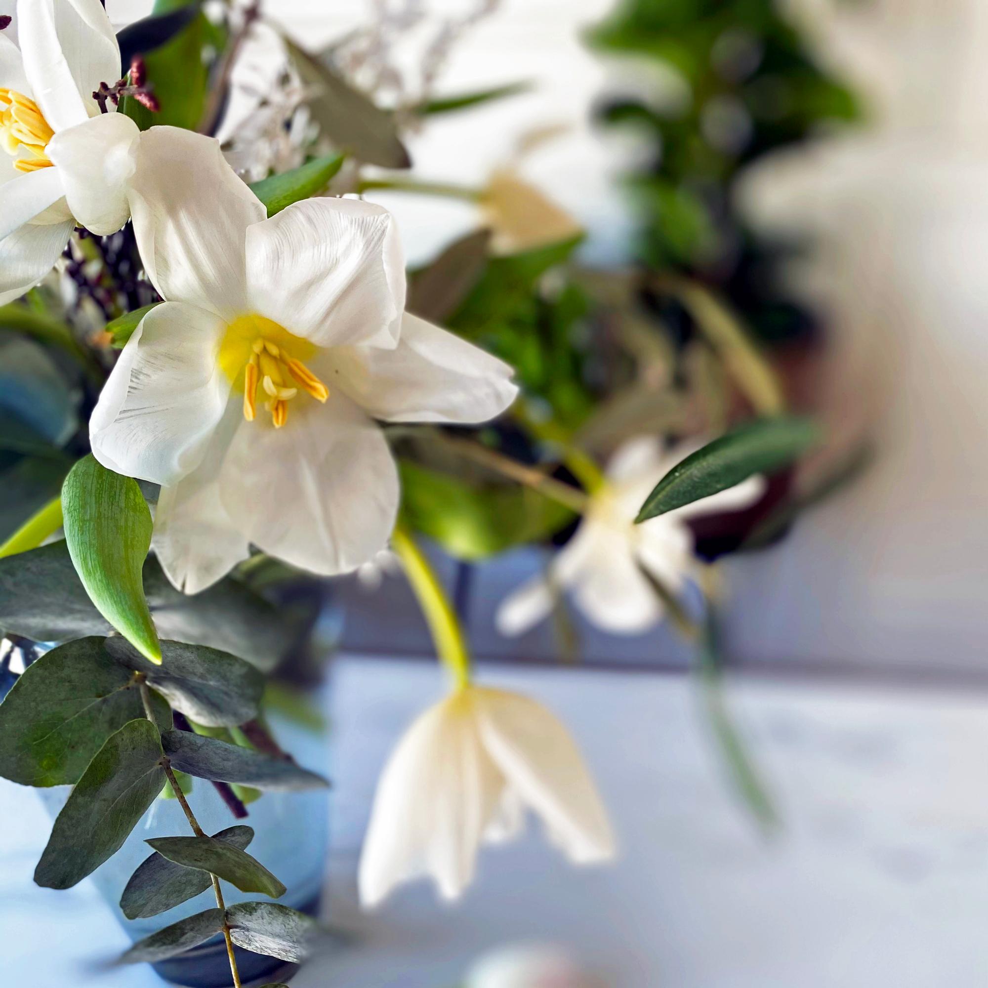 Tulppaanihieronta – uusi kukkakikka? Ei vaan vanha tapa, jolla teet tulppaaneista näyttäviä! Floristimestari vinkkaa ohjeet