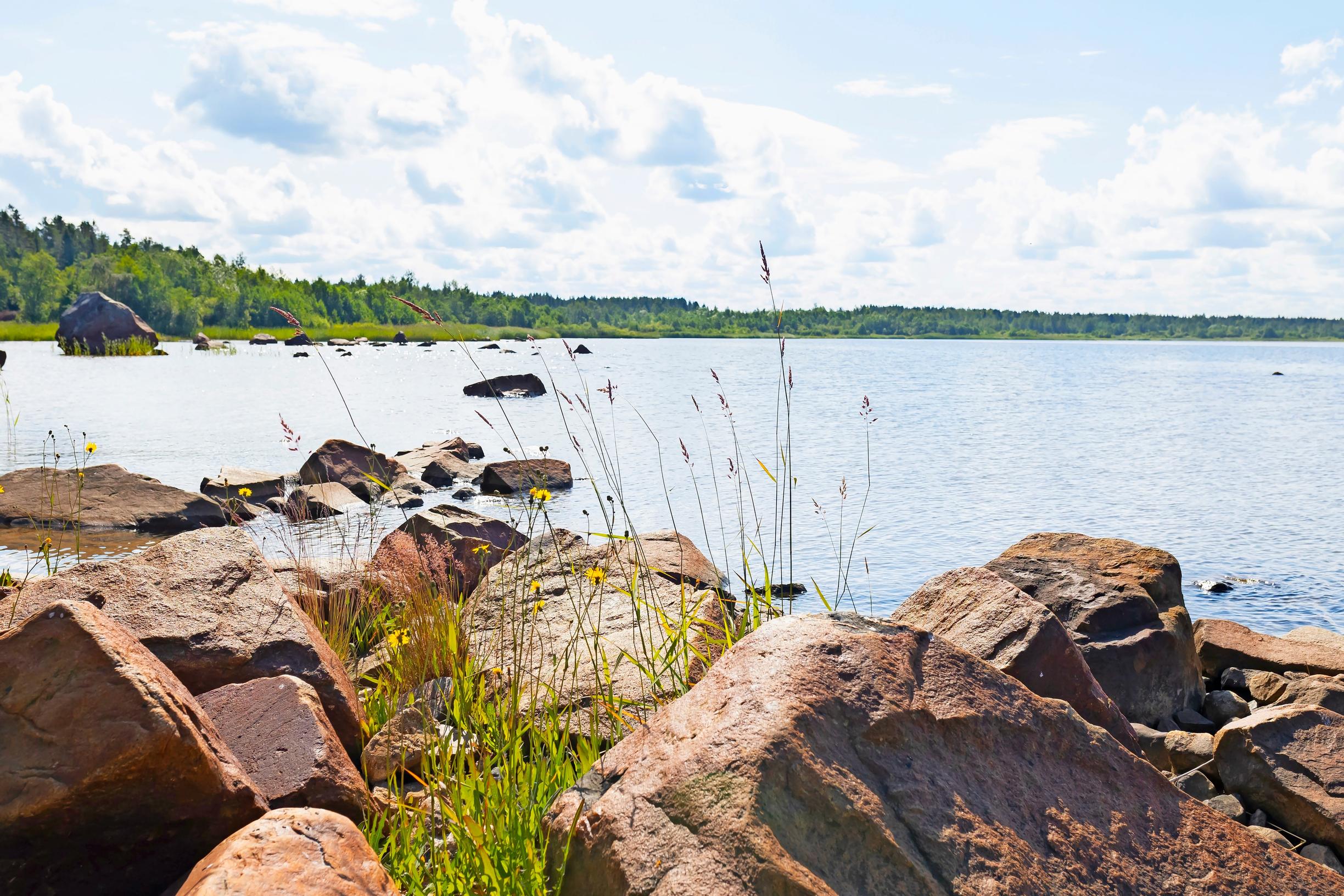 Isoja rantakiviä ja heinää, merta ja vastarannalla metsää