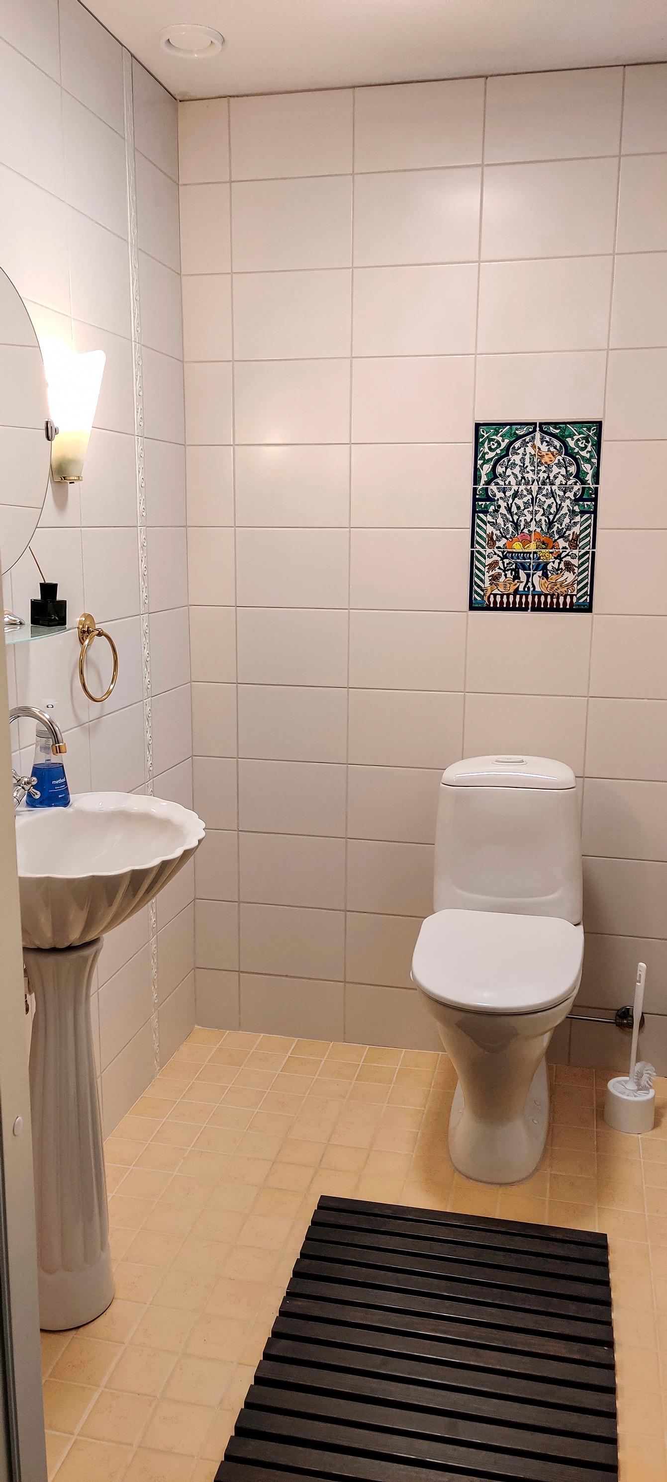 Vessa ennen remonttia