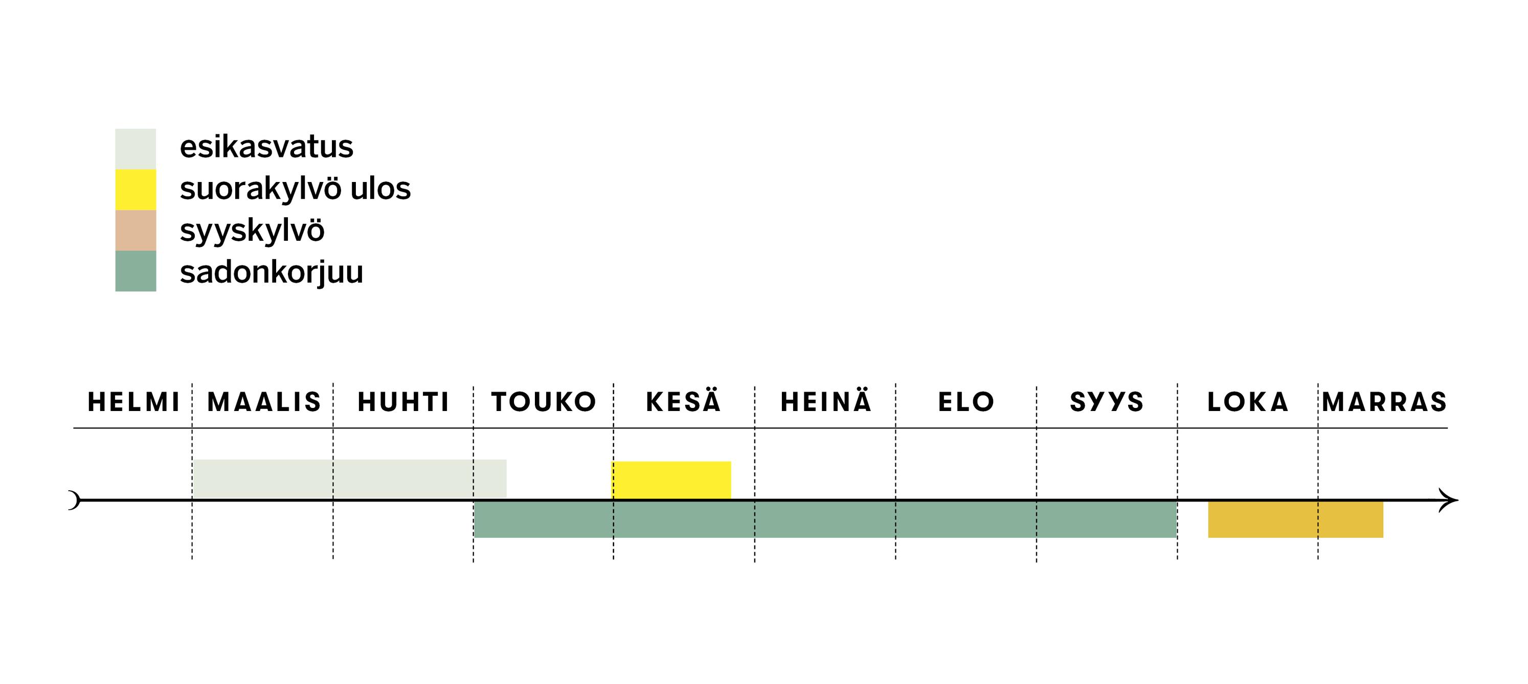 Lipstikan kylvö- ja sadonkorjuuajat