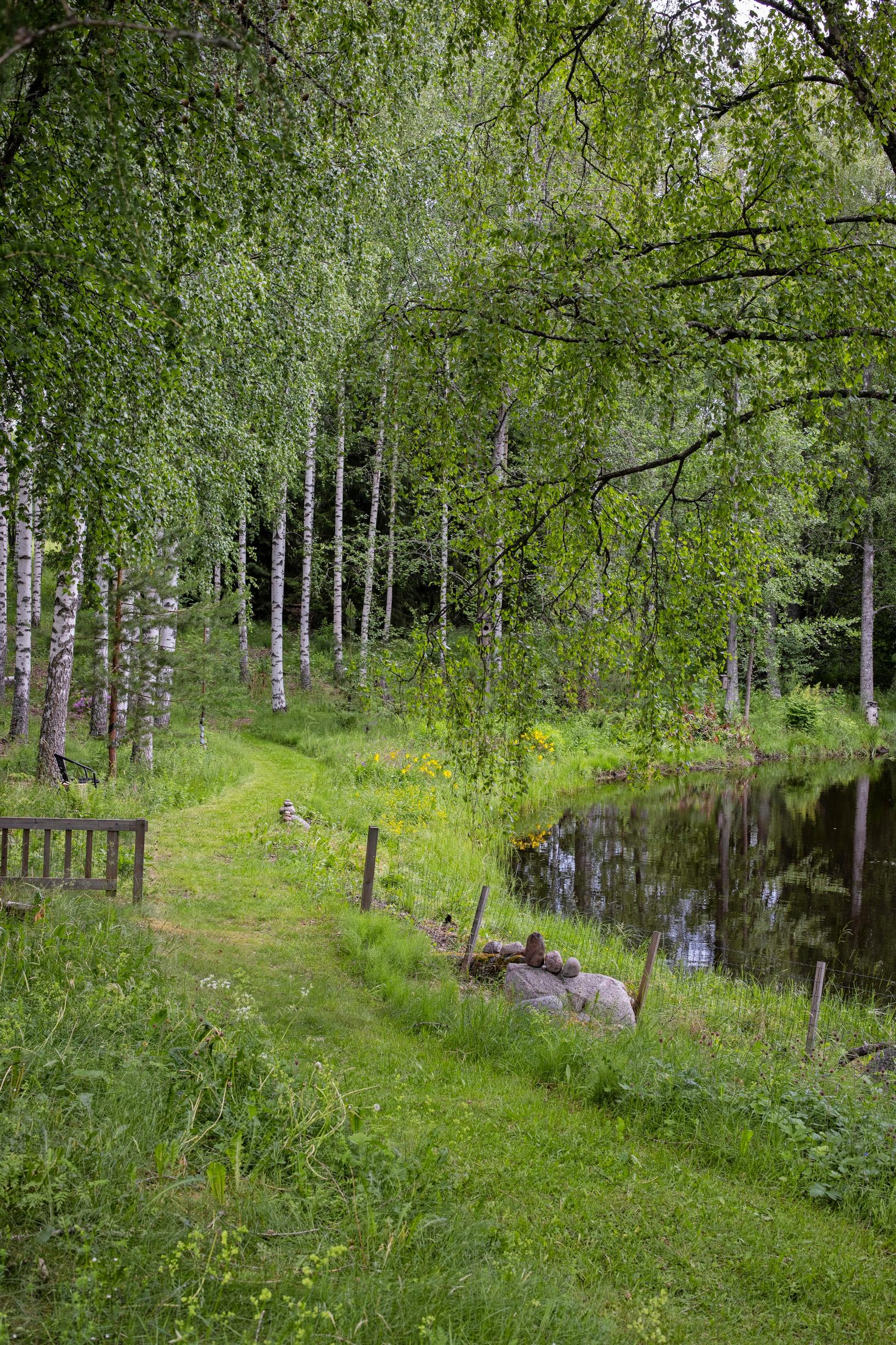 luonnonmukainen puutarha