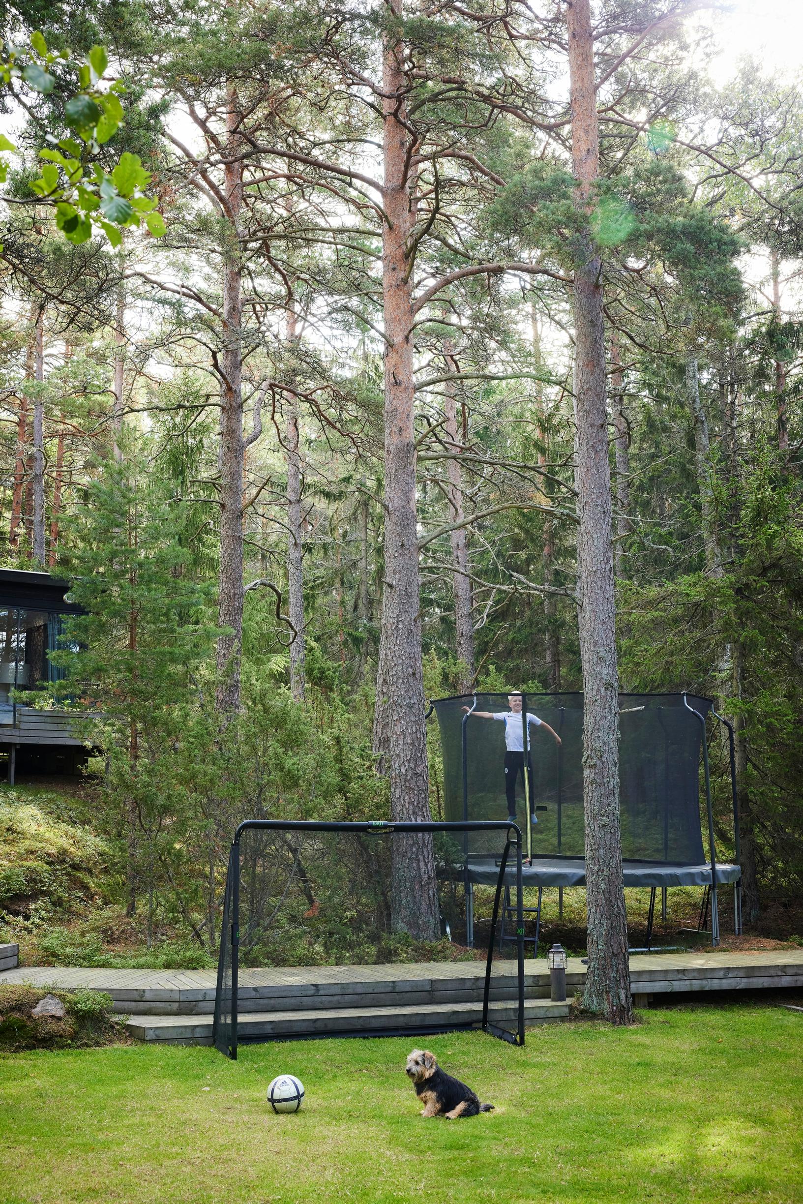 koira, jalkapallo ja maali nurmikentällä, taustalla poika hyppii metsän vieressä trampoliinissa