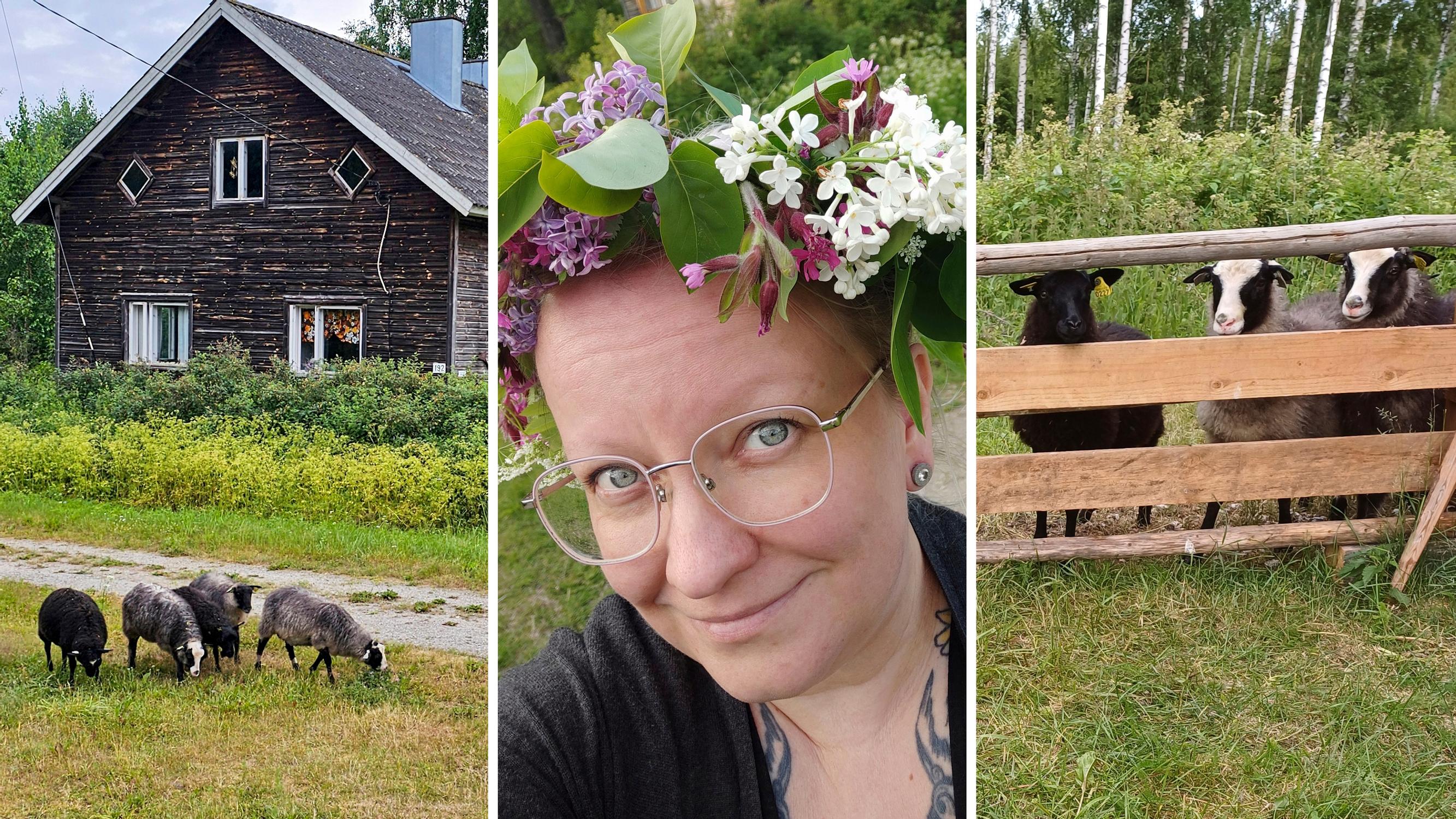 Tiina hankki mökille kesälampaita ja -ankkoja: ”Lampaiden hoito oli alkuun vähän härdelliä, kun niitä syötettiin tuttipulloilla”
