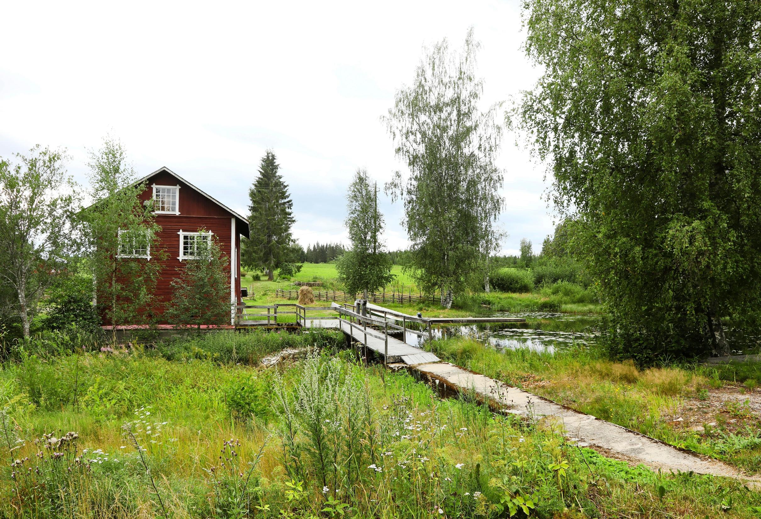 Maalaismiljöötä joen rannalla