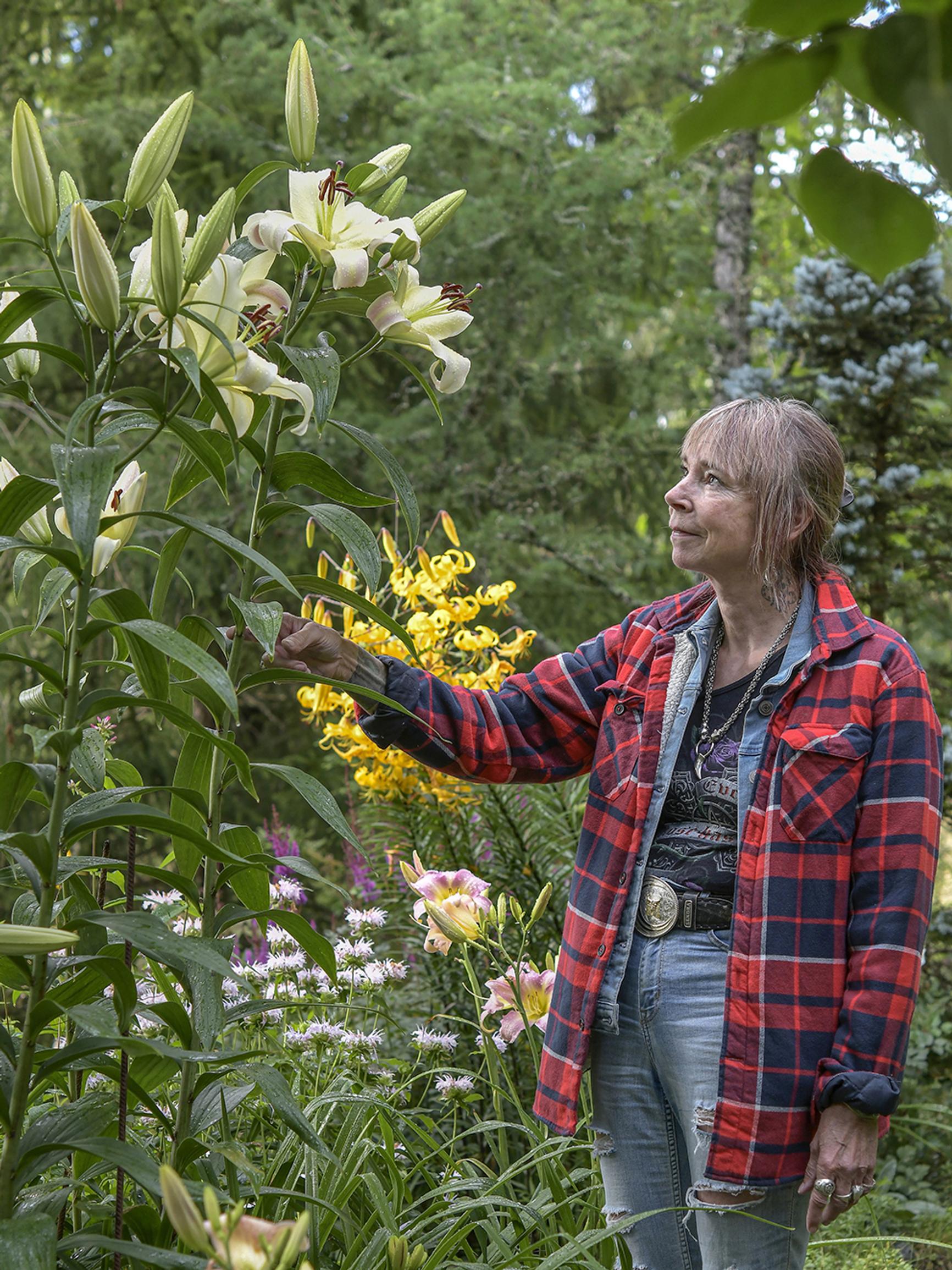 Jättimäiset kukat ja huumaava tuoksu! 20 vuotta liljoja kasvattanut Mikaela kertoo, miten puuliljat ja idänliljat saa kukoistamaan