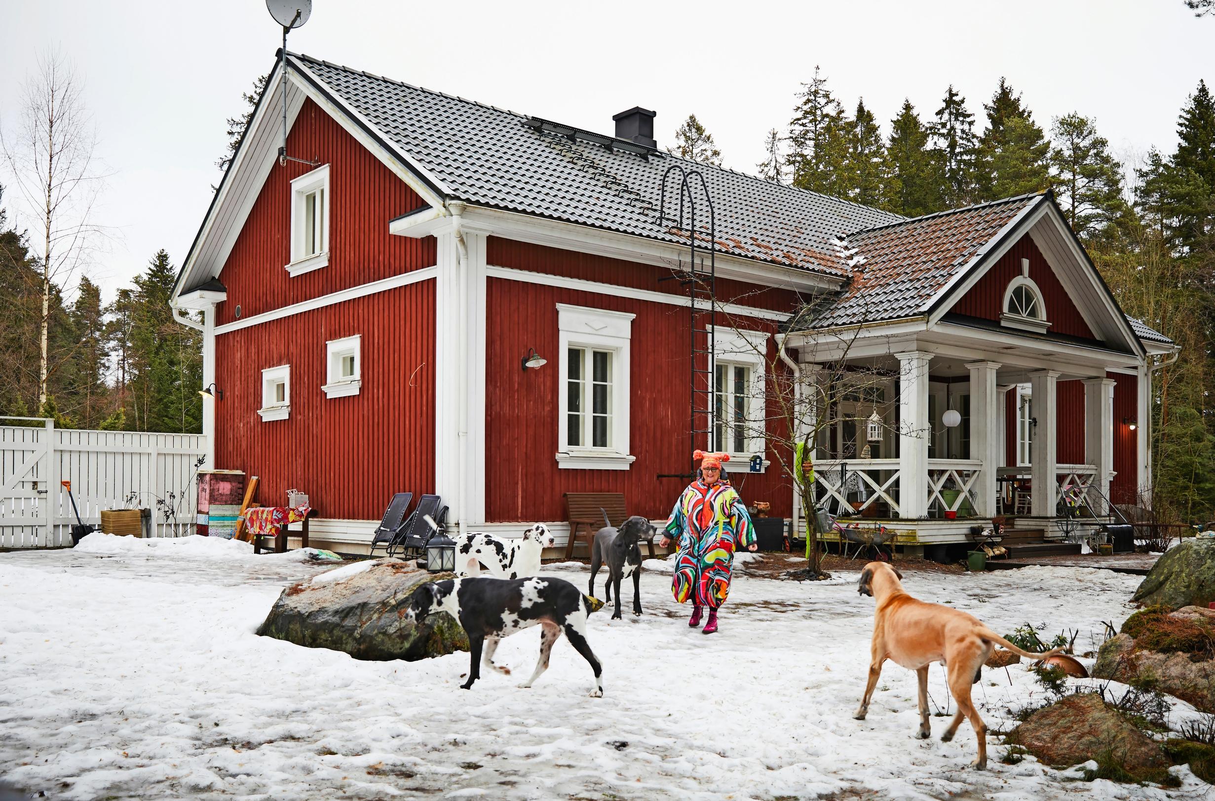 Ullin Toiviainen ja tanskandogit pihamaalla