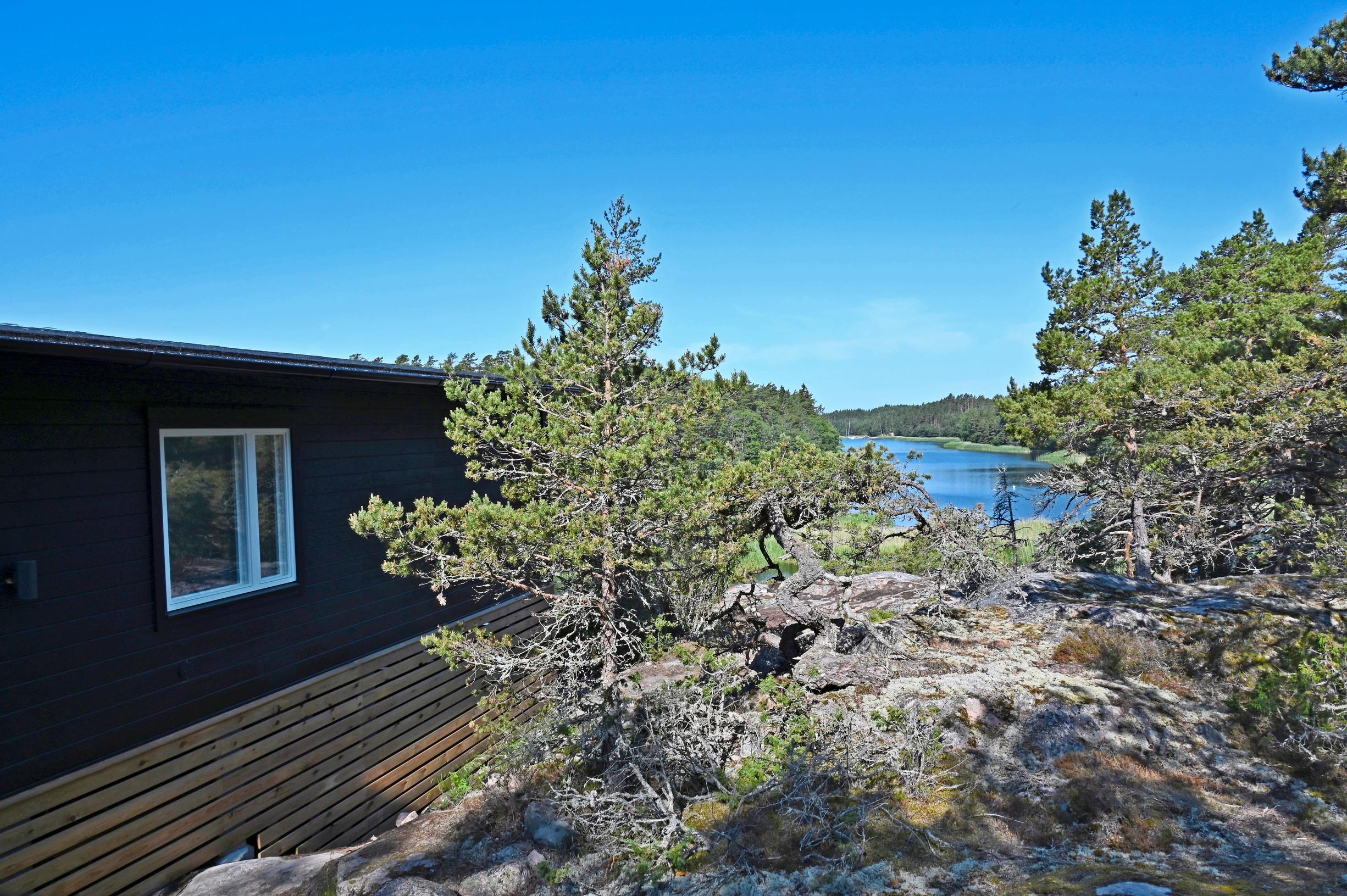 Saarimökki männikössä