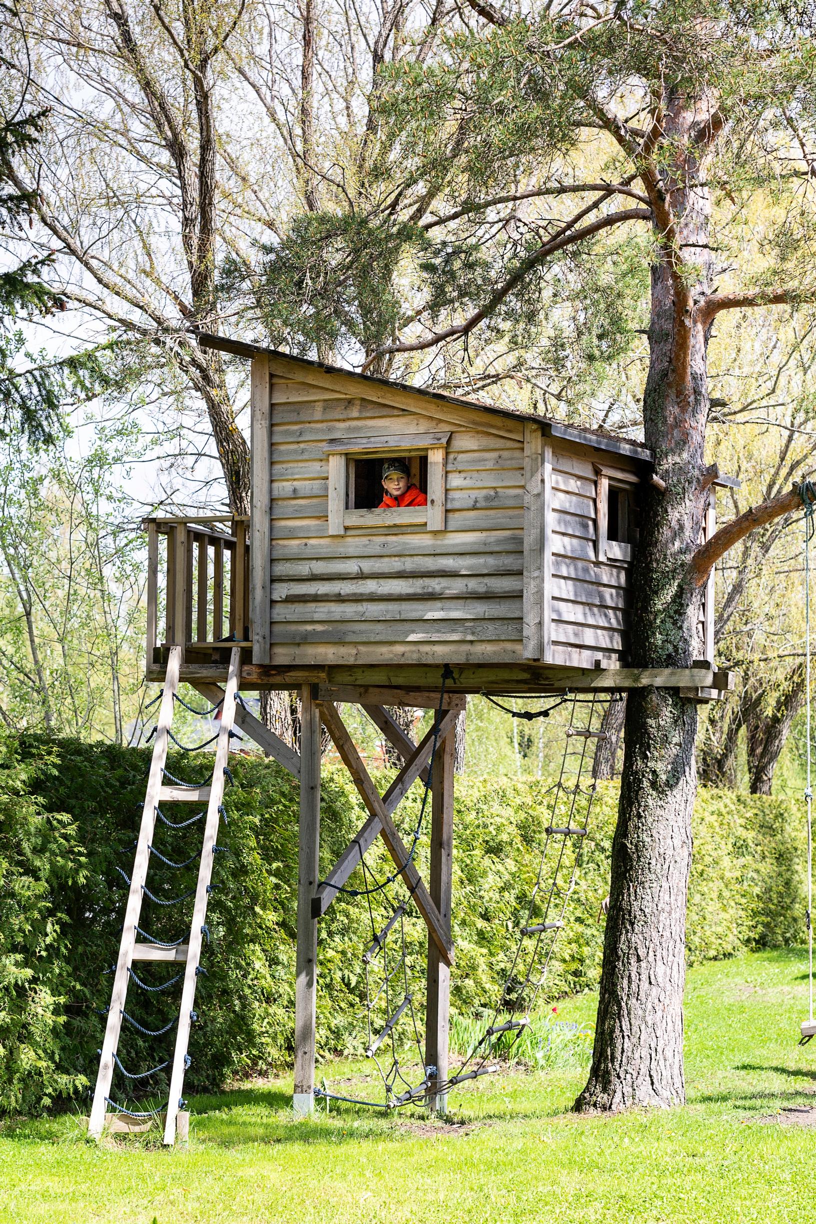 Puumaja korkealla männyssä