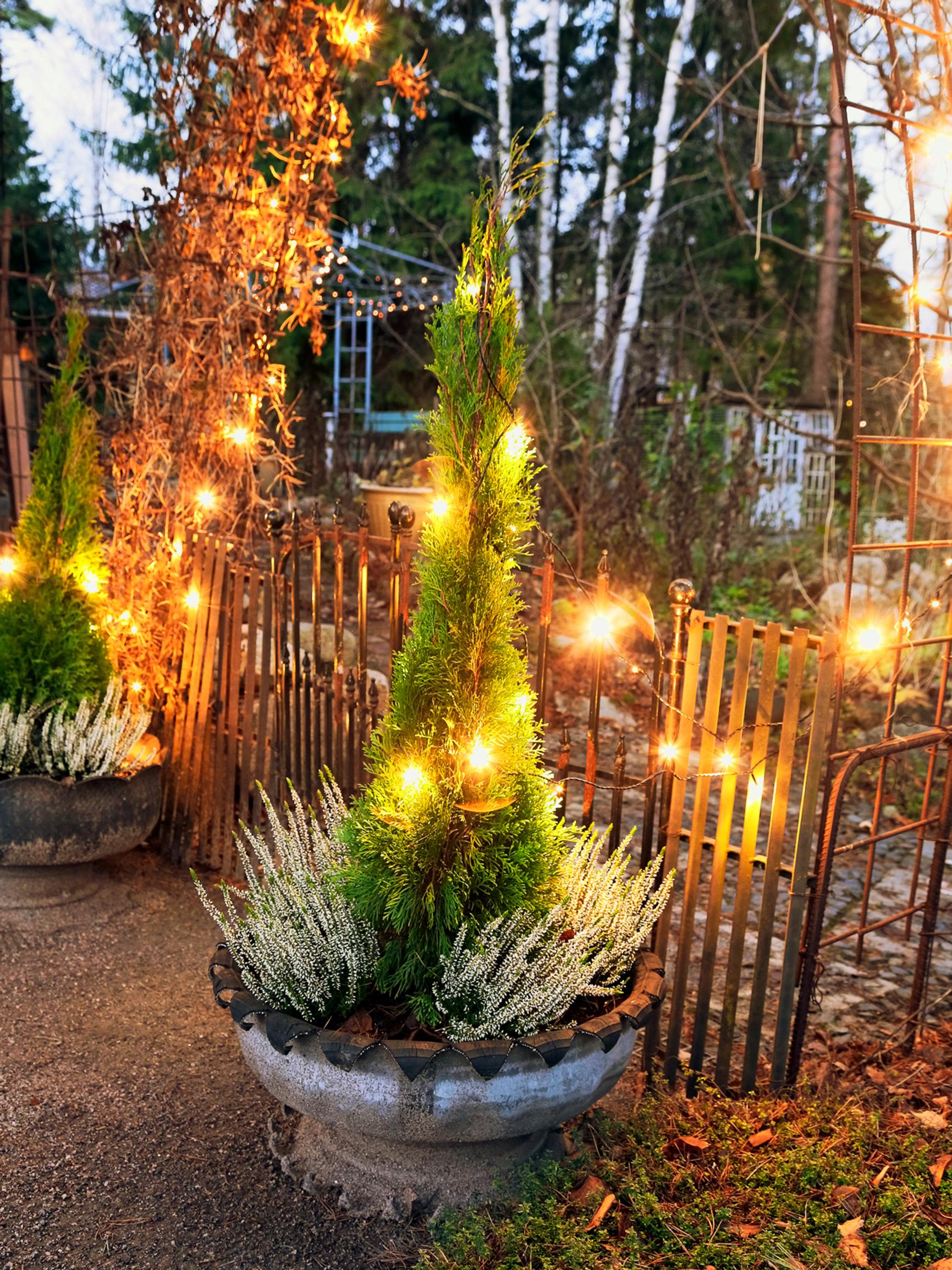 Pakkasenkestävä ruukku ilmaiseksi – näin helposti teet komean ja kestävän ruukun autonrenkaasta