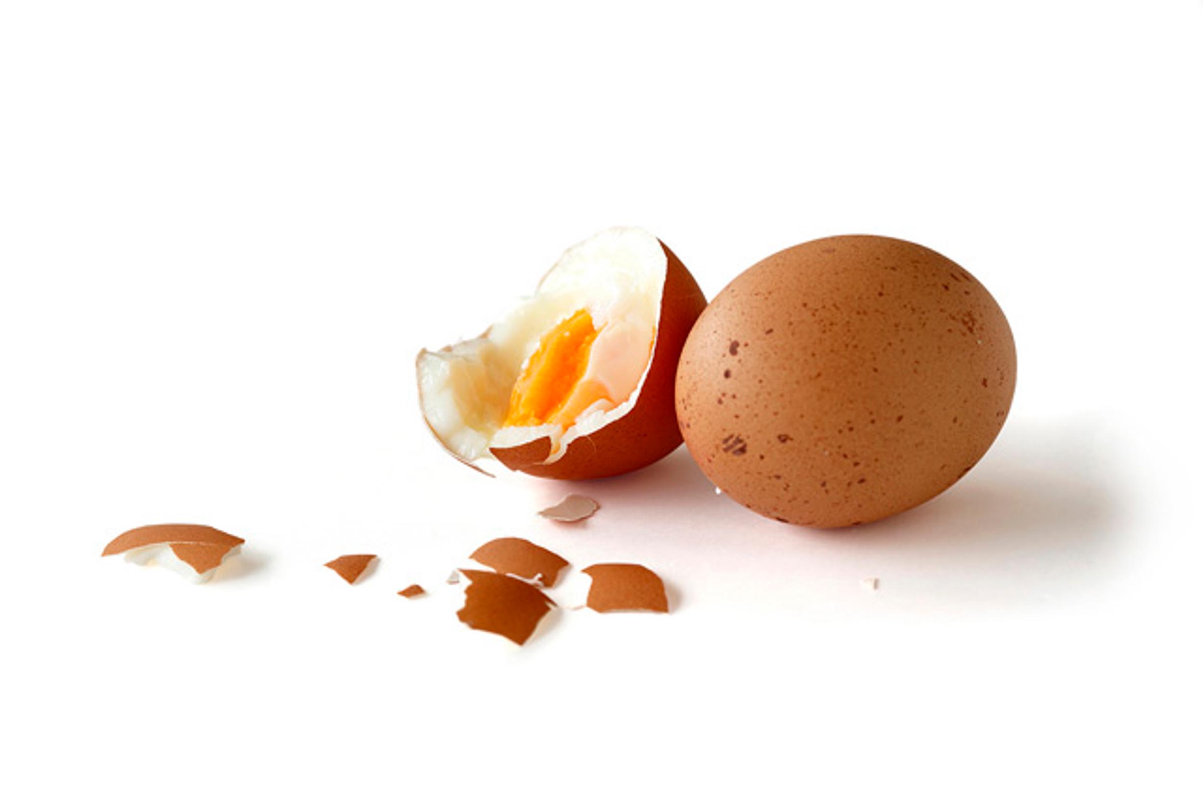 Lisää proteiinia?