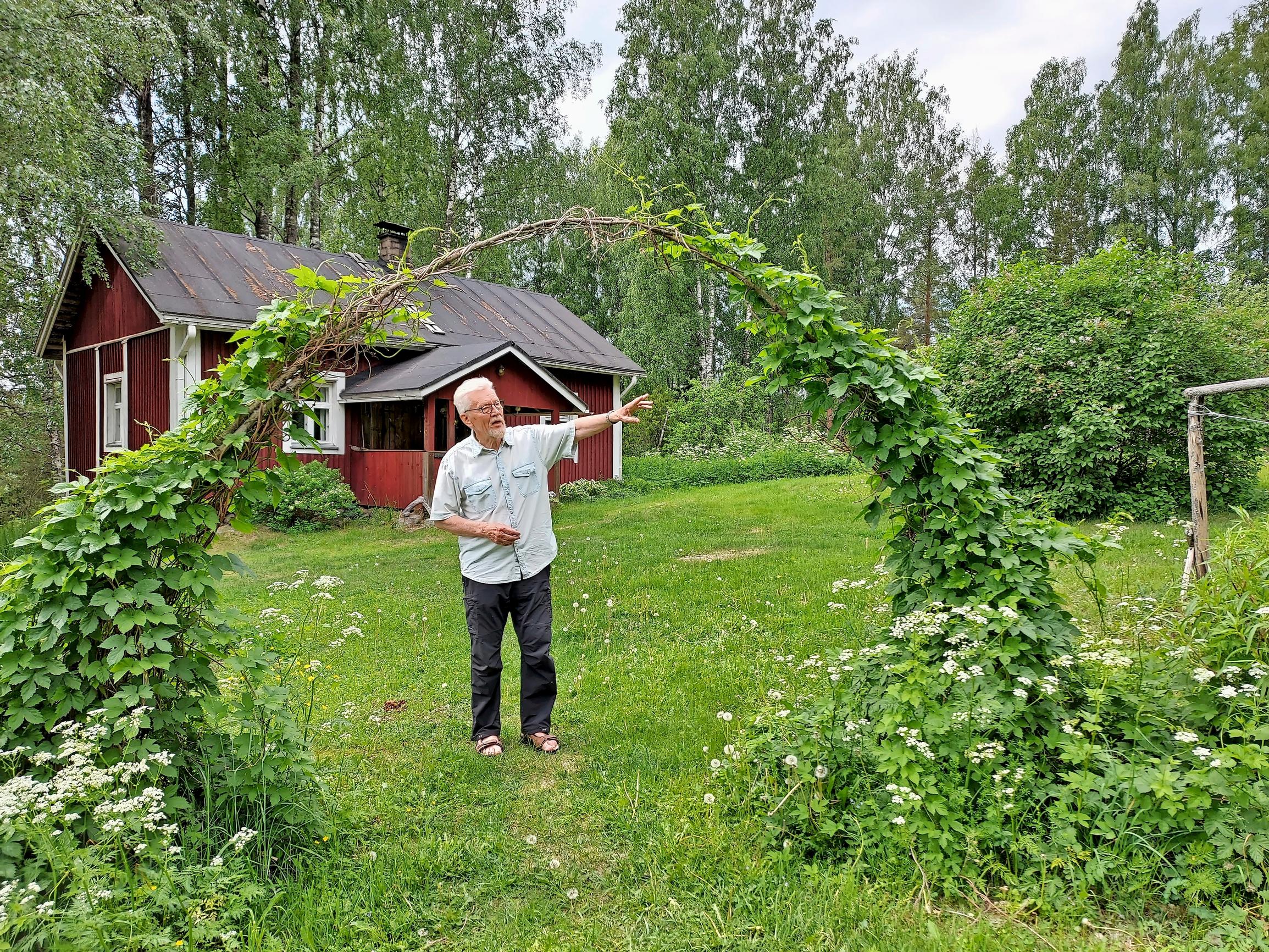Veikko Happonen näyttää taivutettua humalasalkoa torpan pihalla