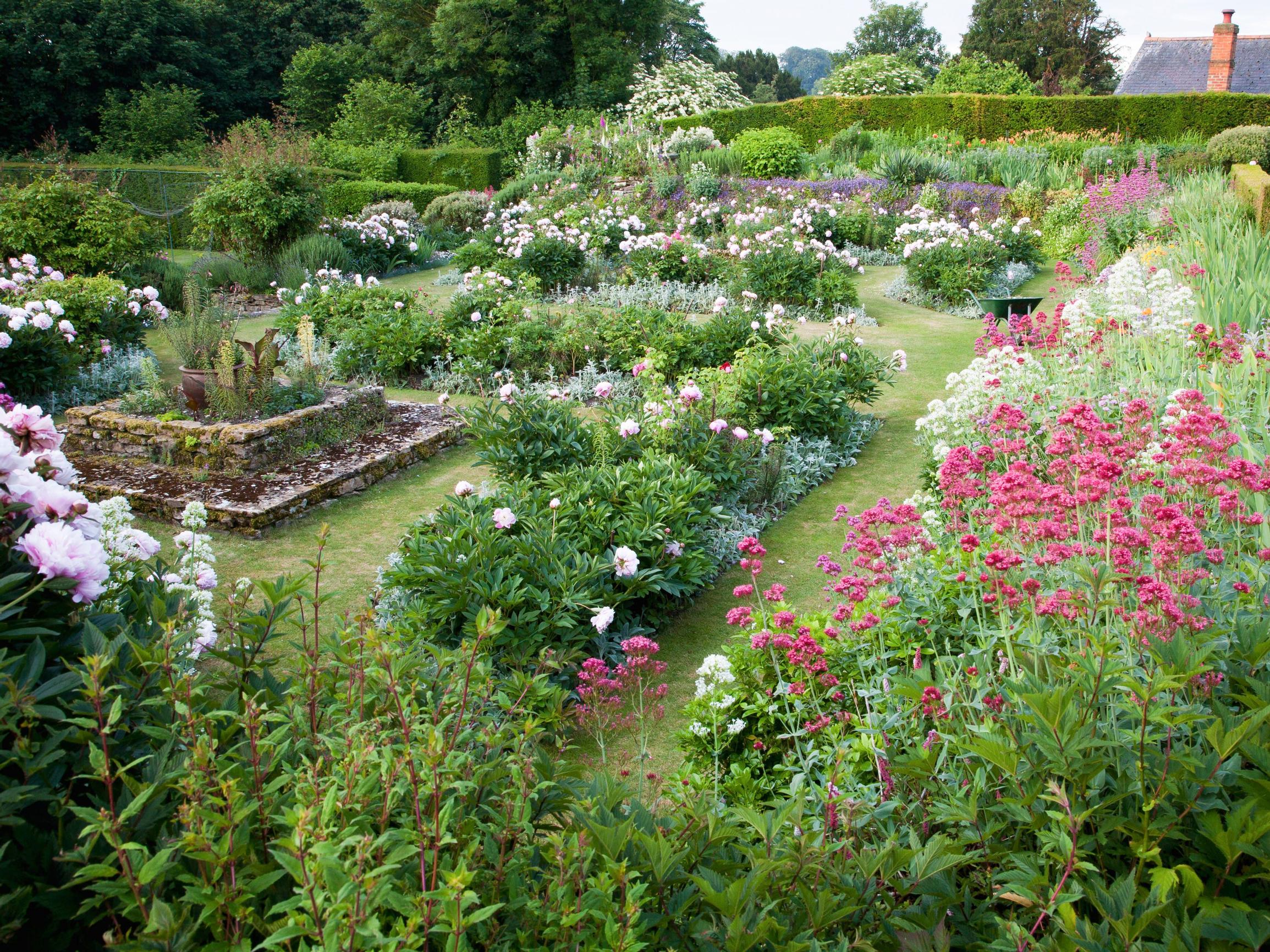 Näin käytät perennoja kuin puutarhaguru