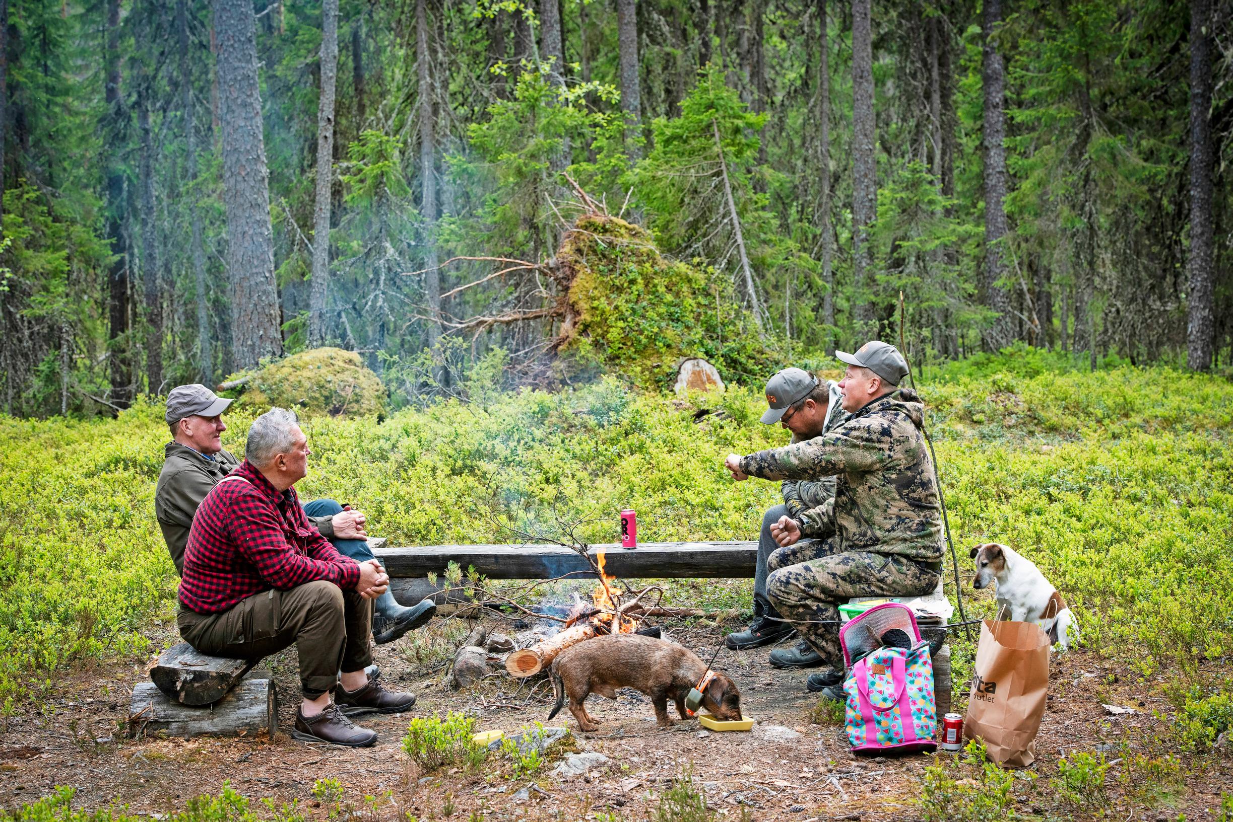 Neljä miestä ja kaksi koiraa kokoontuneena nuorion ympärille metsässä