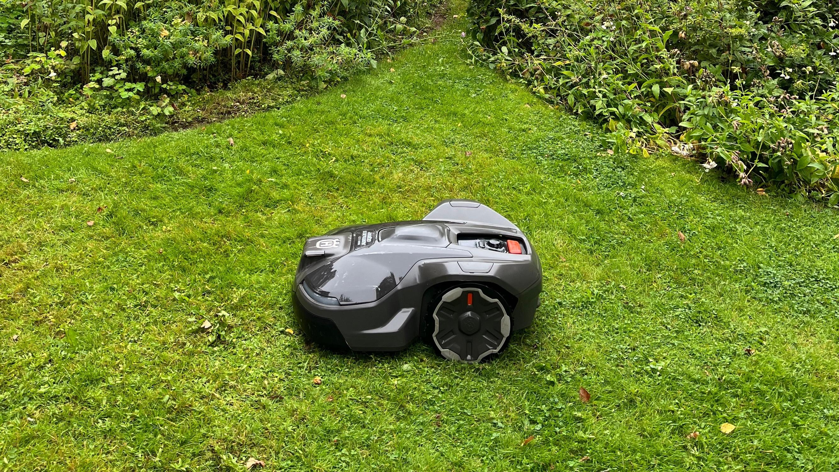 Testasimme rajalangattoman robottiruohonleikkurin: viettävä ja kukkapenkkien pilkkoma piha tarjosi leikkurille haastetta