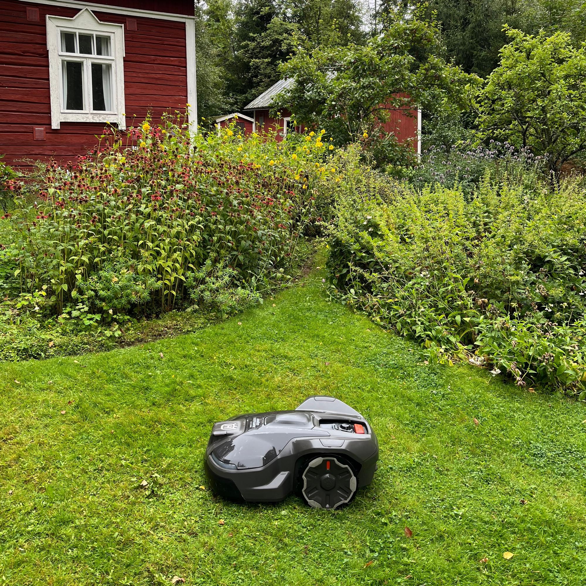 Testasimme rajalangattoman robottiruohonleikkurin: viettävä ja kukkapenkkien pilkkoma piha tarjosi leikkurille haastetta
