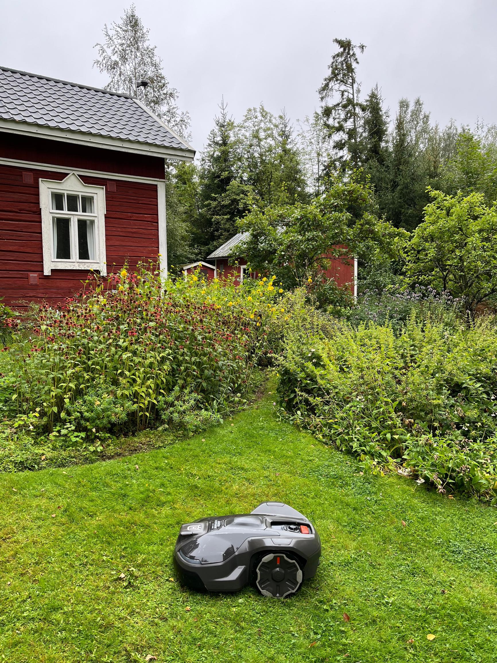 Testasimme rajalangattoman robottiruohonleikkurin: viettävä ja kukkapenkkien pilkkoma piha tarjosi leikkurille haastetta