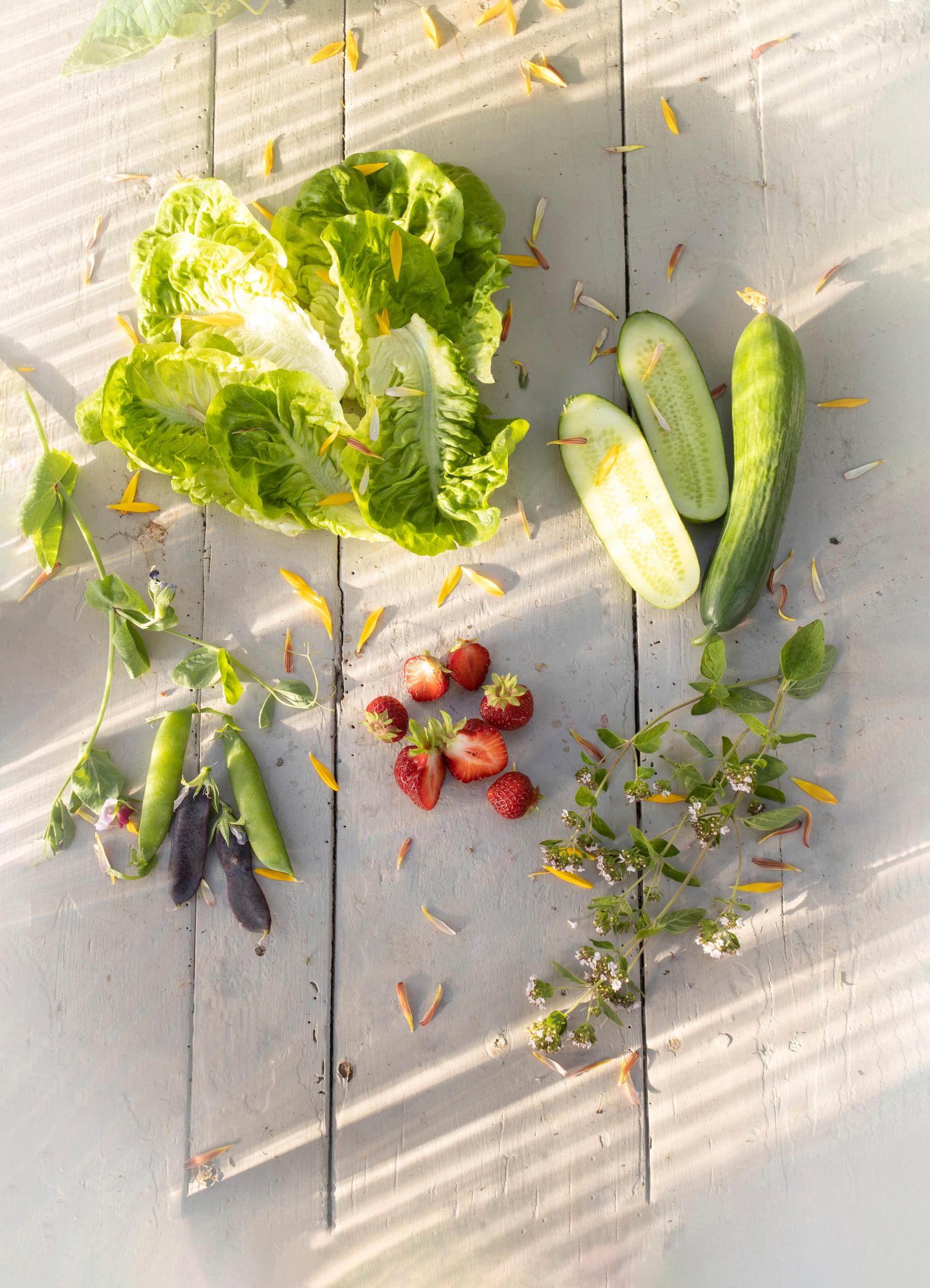 Virpin suosikit sidesalaatti 'Little Gem', kasvihuonekurkku 'Iznik', mäkimeirami, puutarhamansikka 'Polka' ja silpoydinherneet 'Blauwschokker' ja 'Kelvedon Wonder'