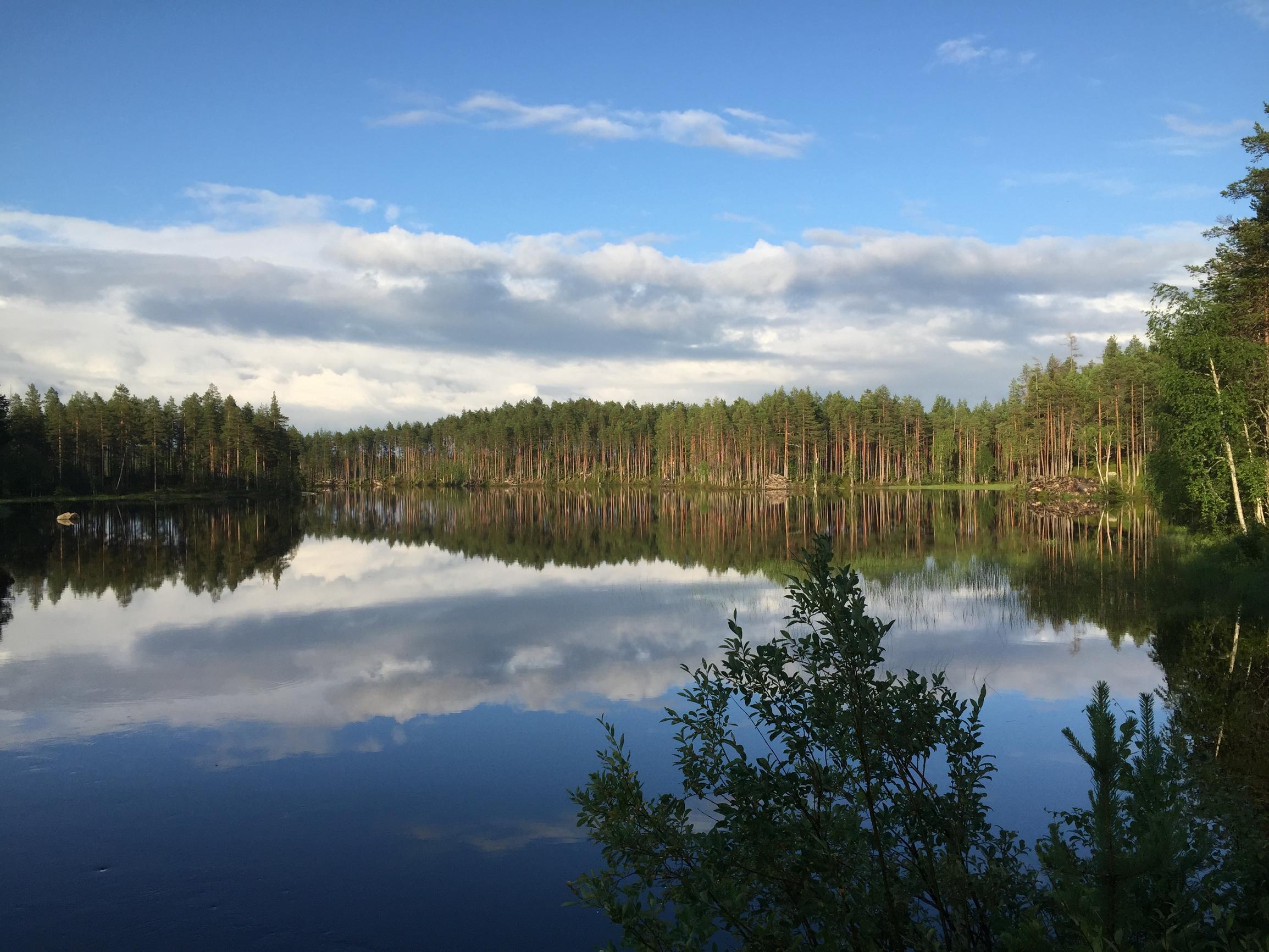 Mökillä-kirjoituskilpailu: Kolmen ällän ämmä