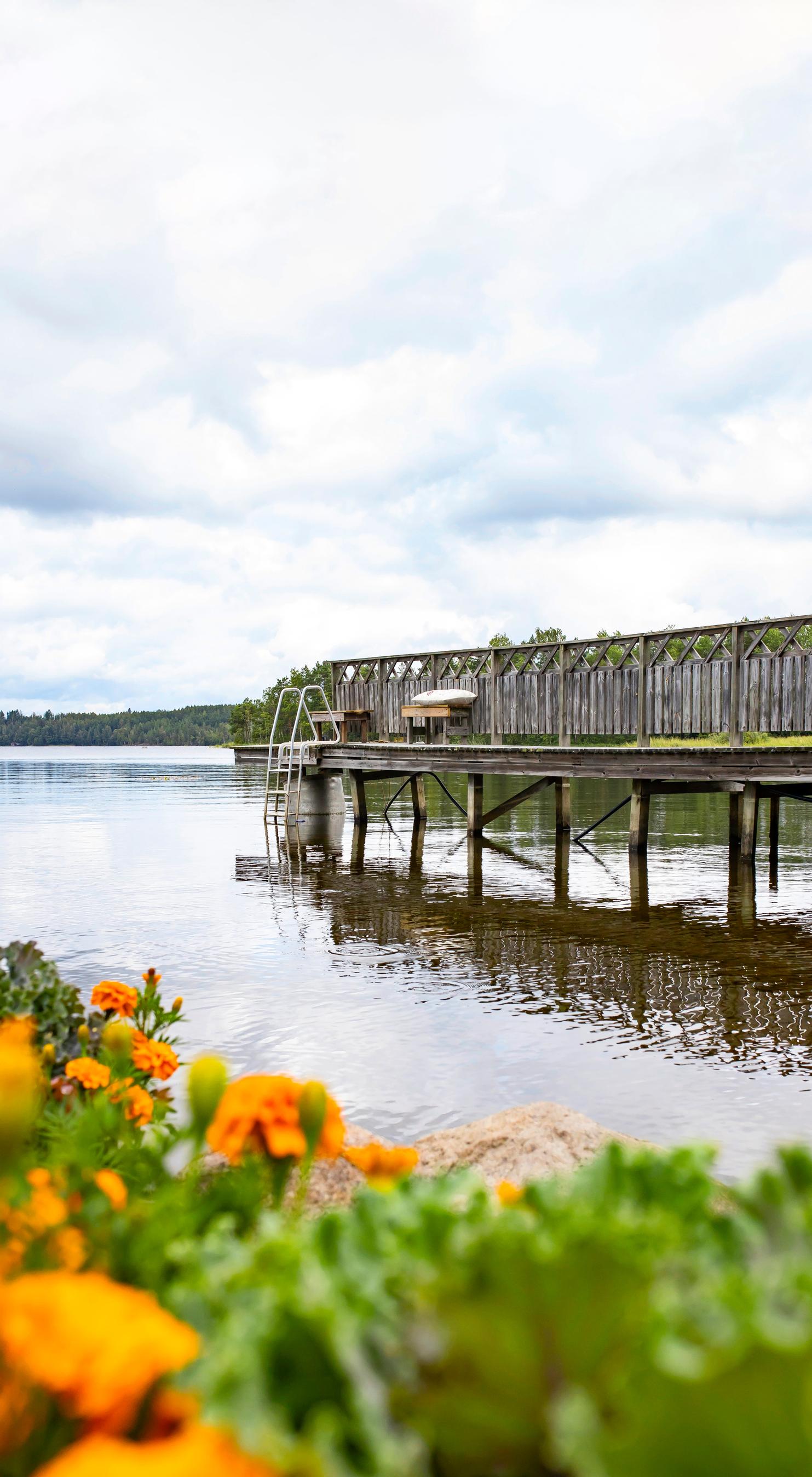 Korkea laituri järvenrannassa