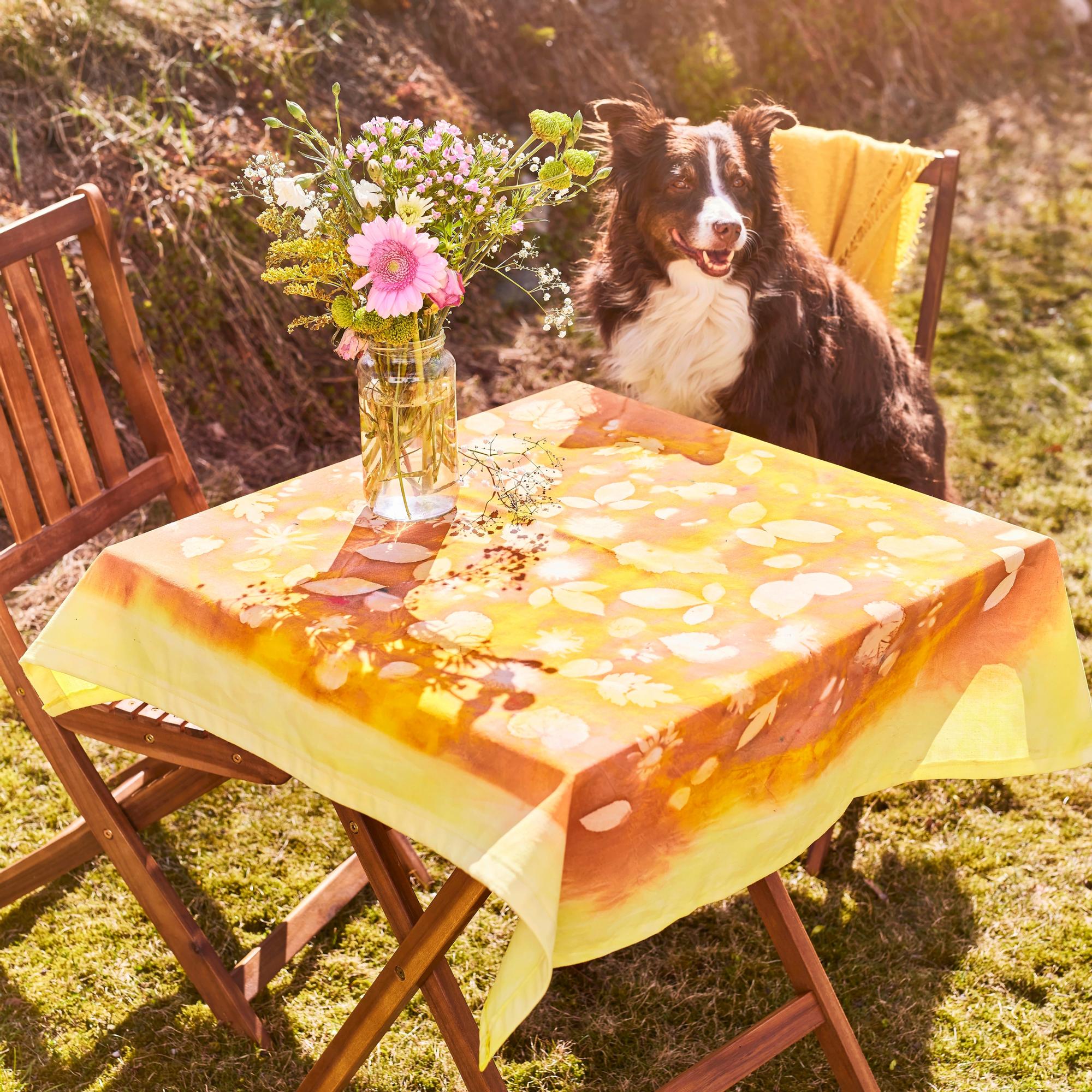 Aurinkovärjäys kankaalle – ota kesäinen valo avuksi ja värjää tekstiileihin kuvioita kasveilla