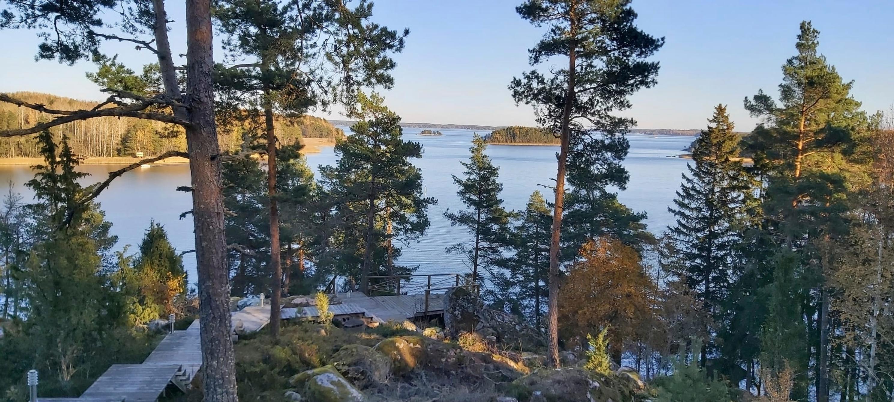 ylhäältä näkymä merelle, mäntyjä, tasanteelle vievä kulkuväylä