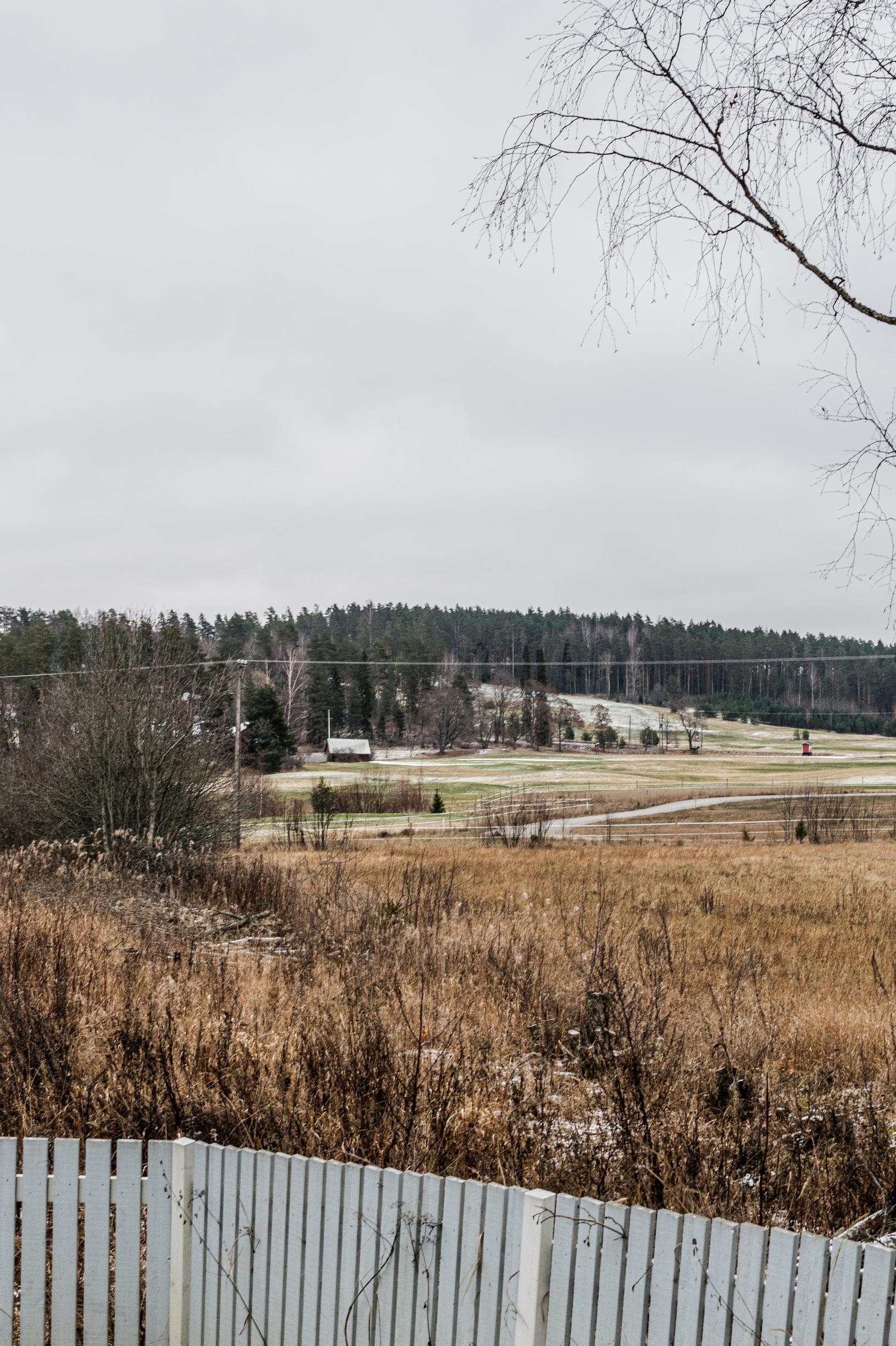 Peltonäkymä ikkunasta.
