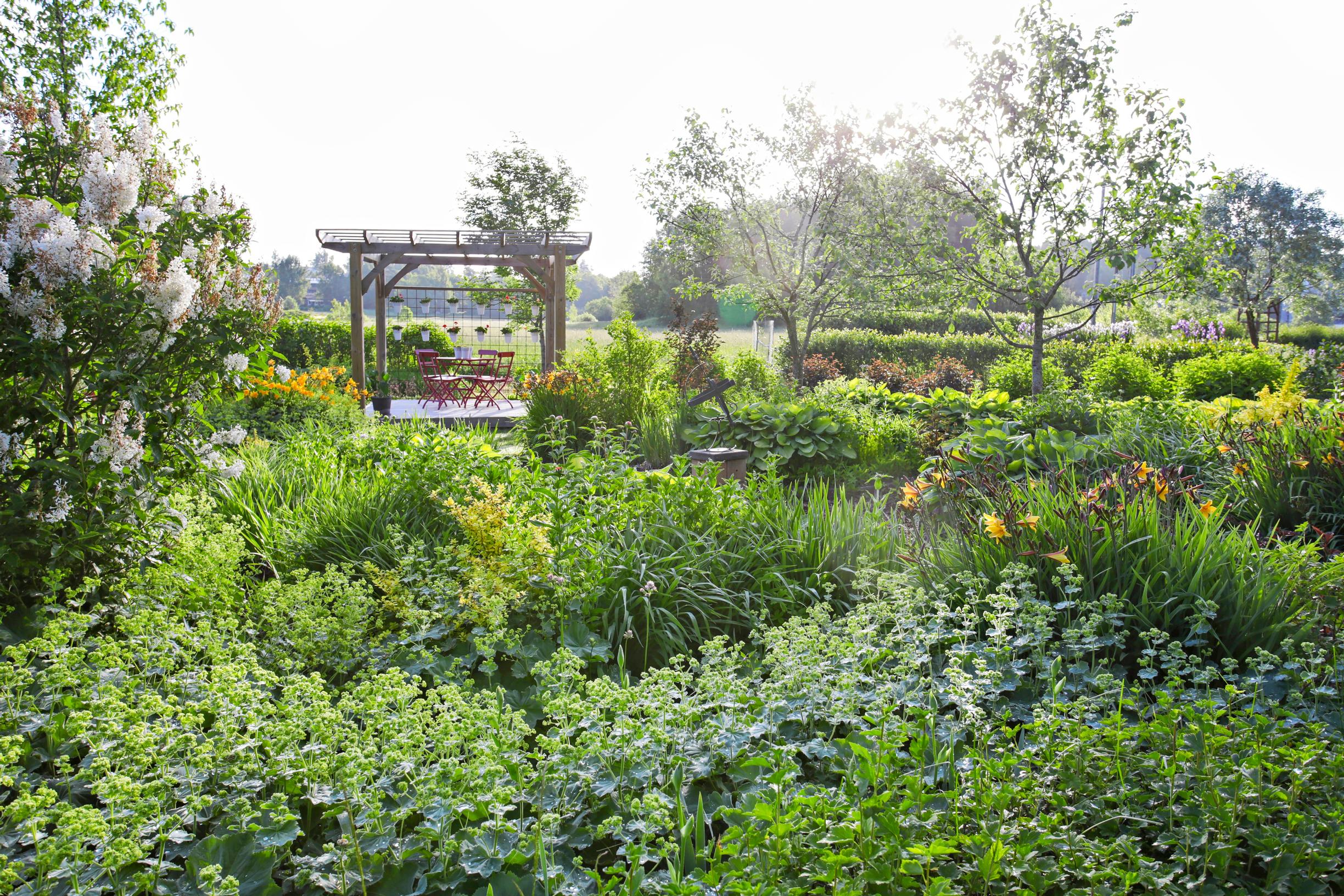 pihan istuskelupaikat, pergola