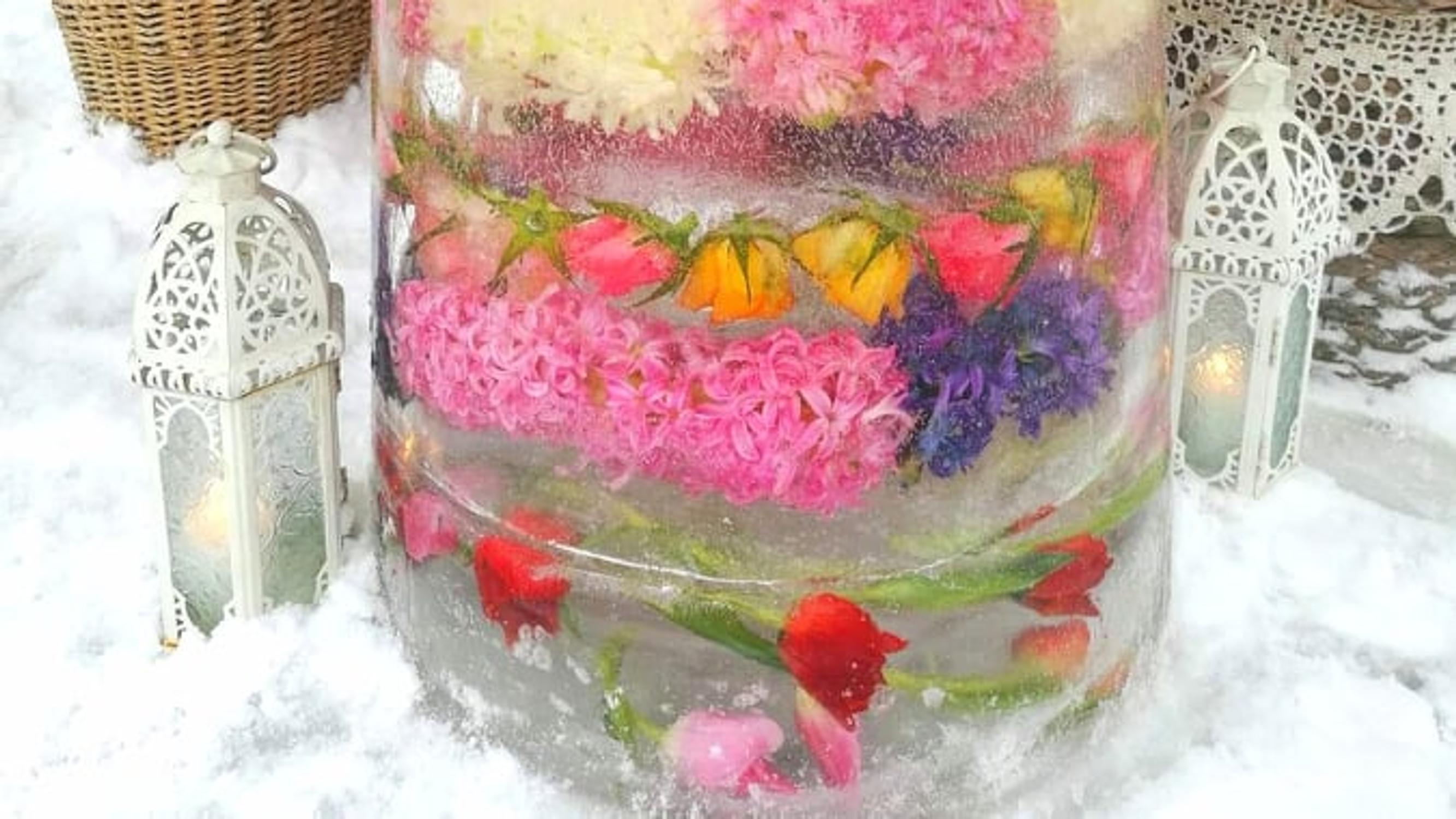 Johannan kukkiva jäätorni sykähdyttää – "Todellisena kukkien rakastajana halusin puutarhaani myös pakkasilla kukkaloistoa" 