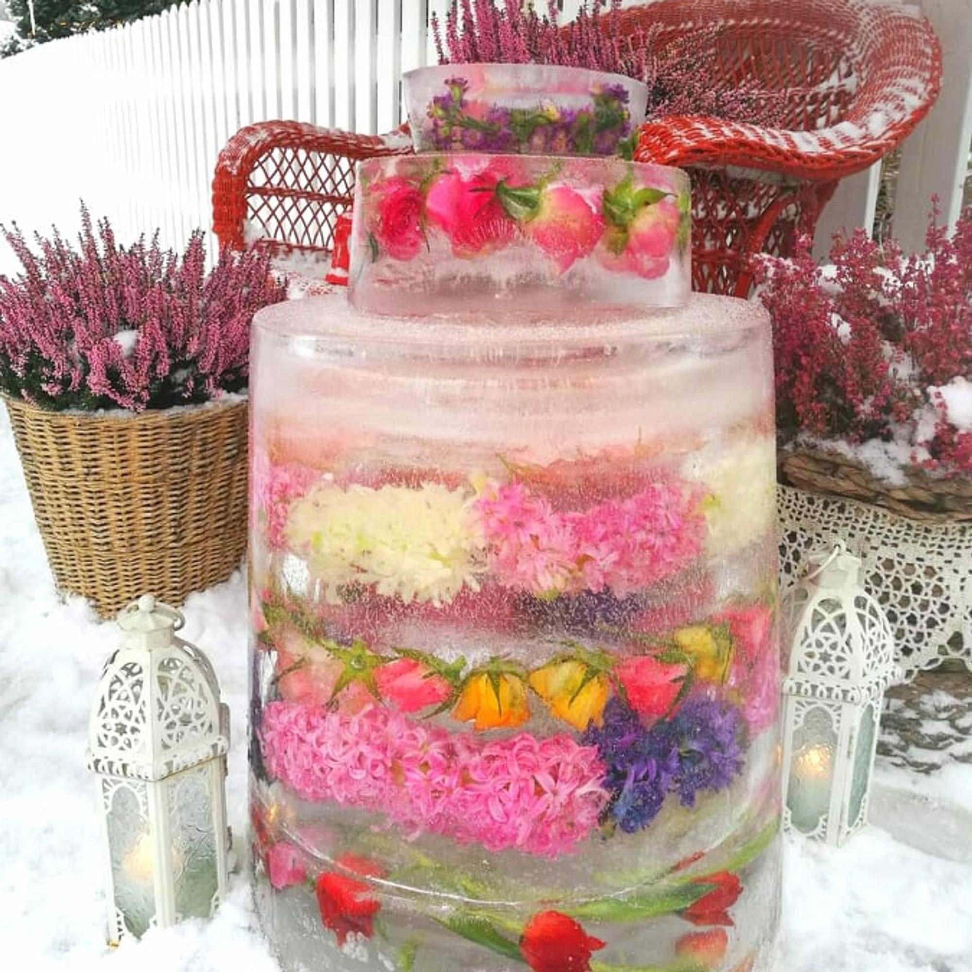 Johannan kukkiva jäätorni sykähdyttää – "Todellisena kukkien rakastajana halusin puutarhaani myös pakkasilla kukkaloistoa" 