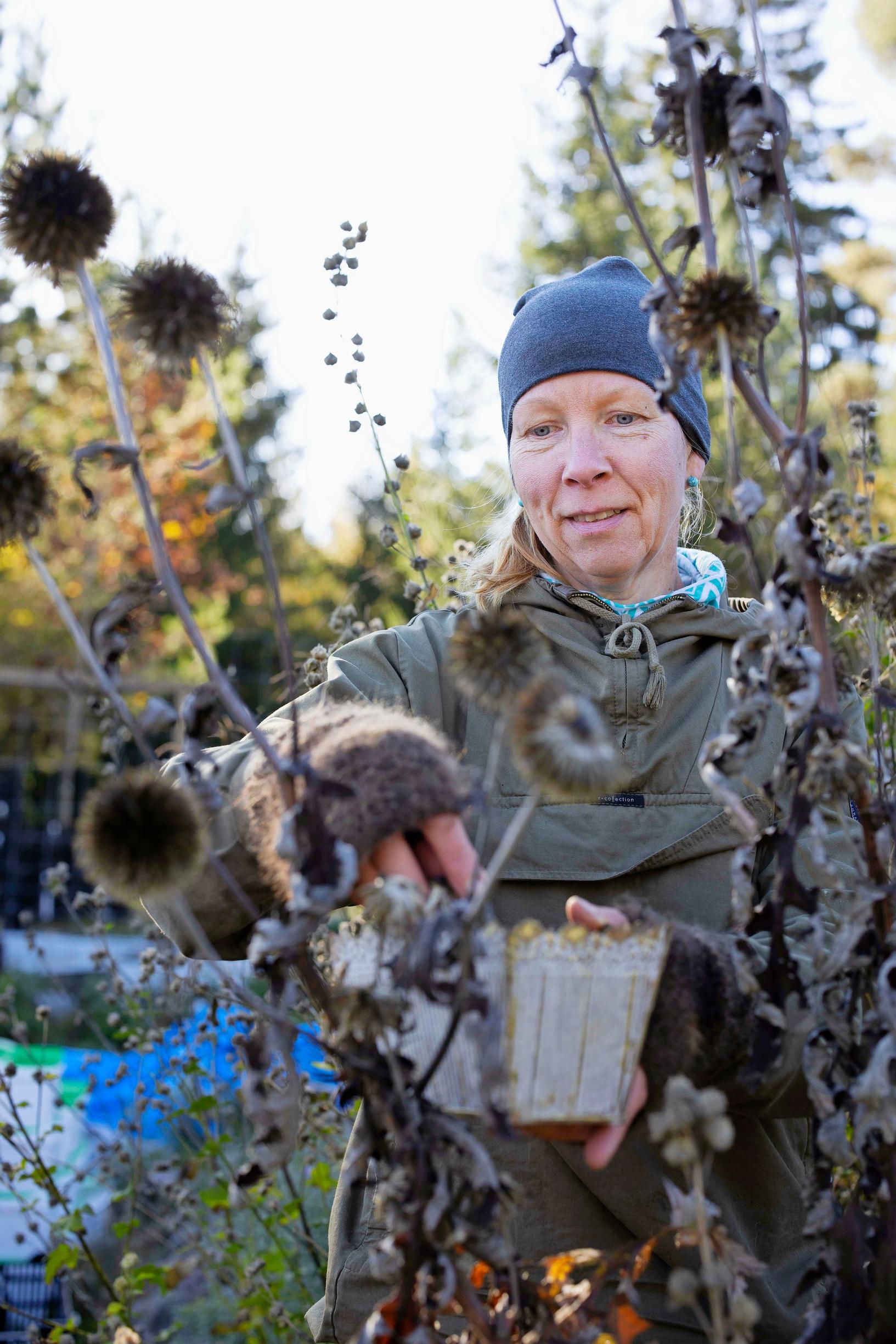 Puutarhuri Mari Talja