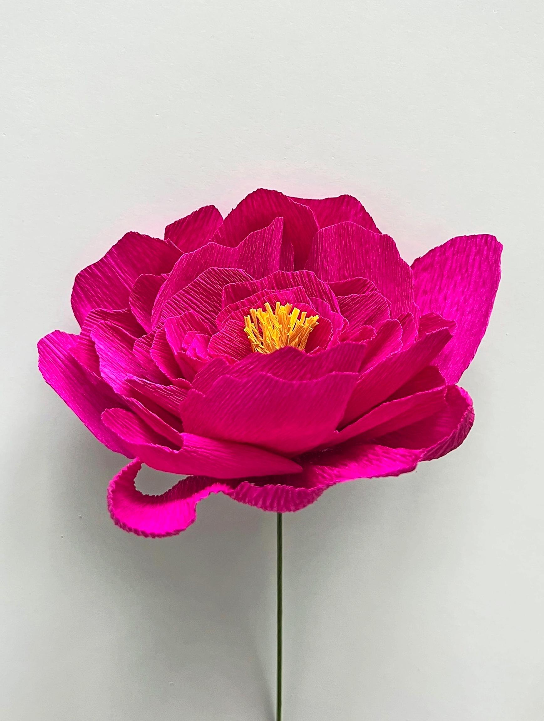 Pinkki paperipioni