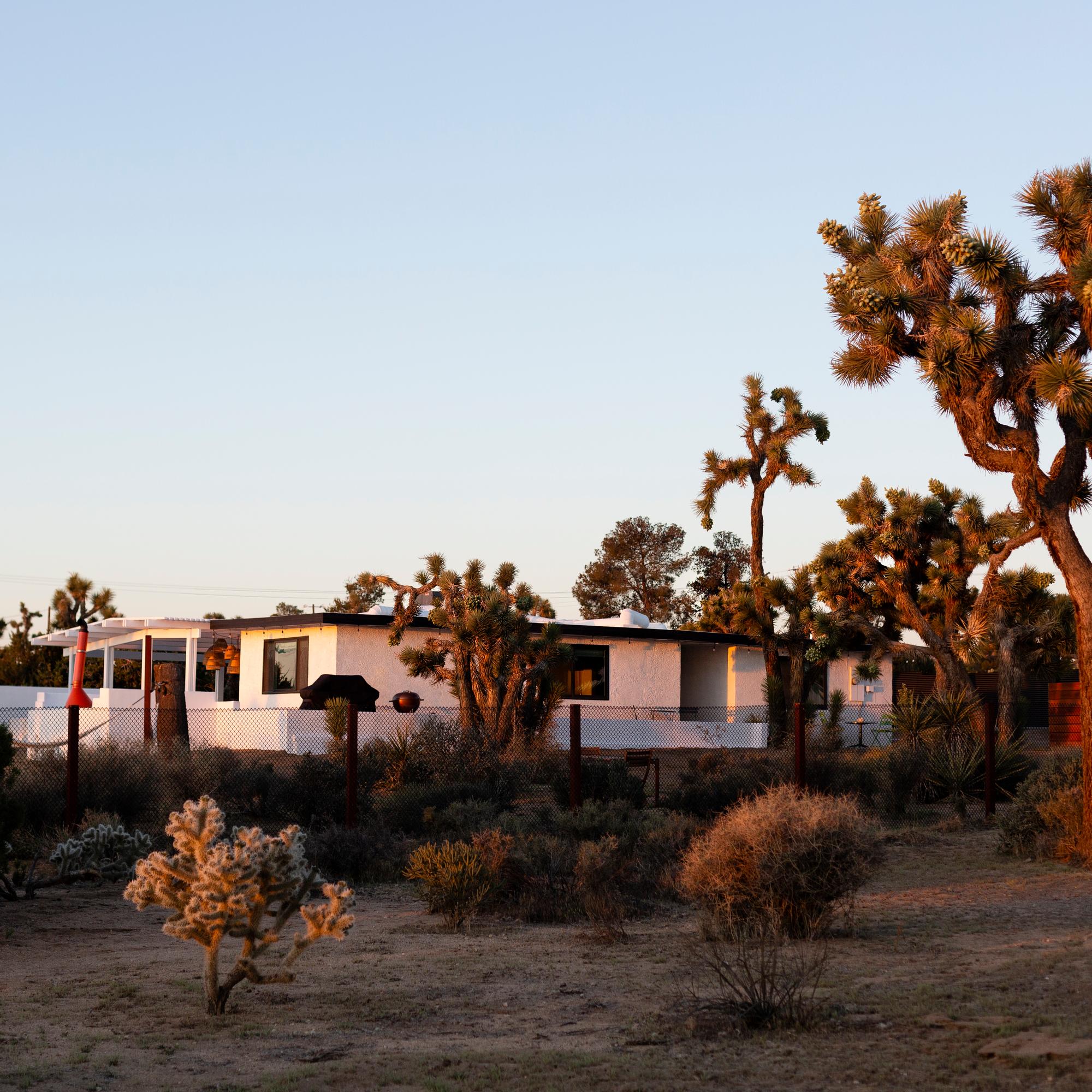 Entisestä ateljeesta tuli Annen perheen lomakeidas Kalifornian aavikolla: ”Joshua Treen luonto on taianomainen”