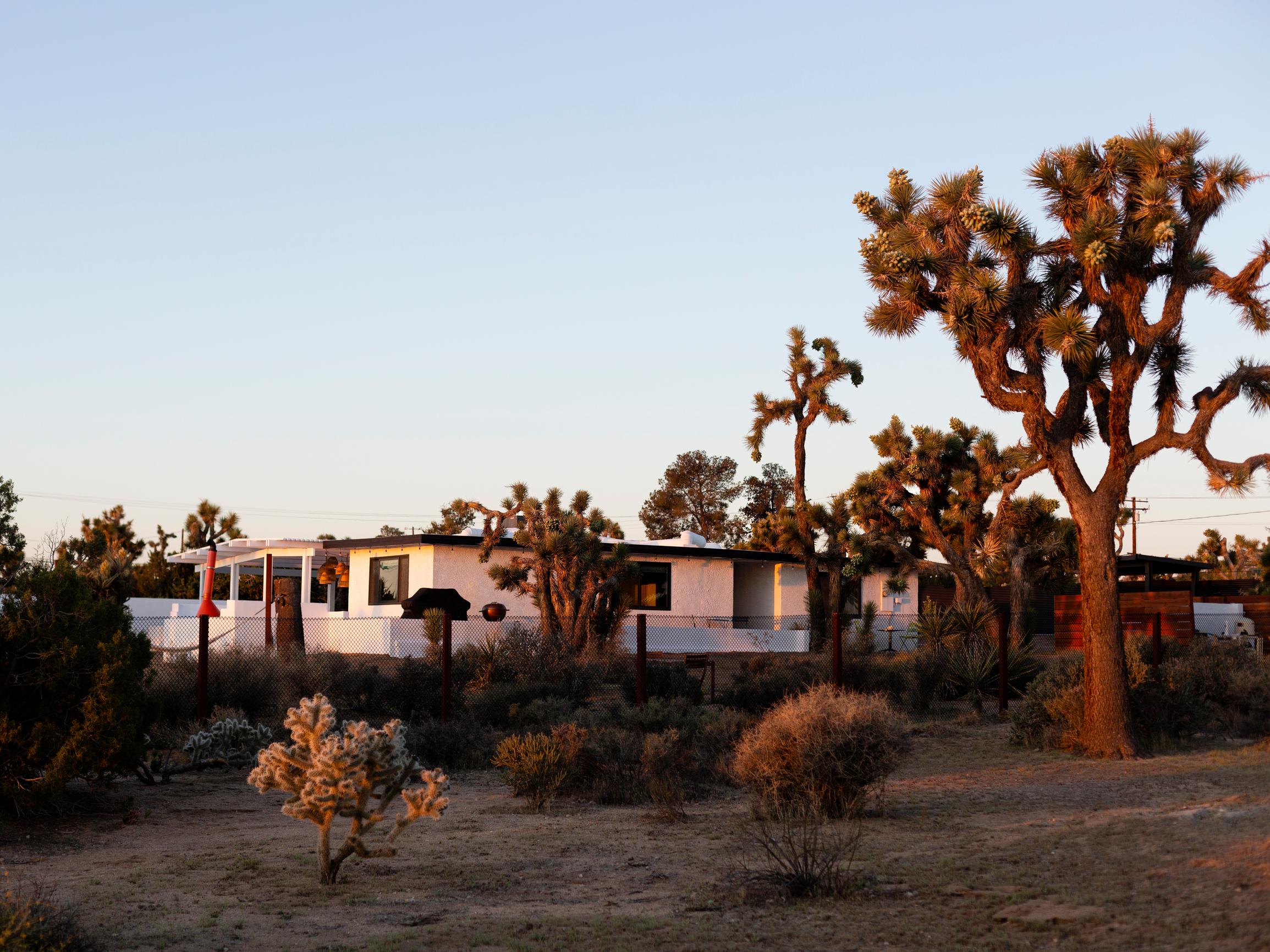 Entisestä ateljeesta tuli Annen perheen lomakeidas Kalifornian aavikolla: ”Joshua Treen luonto on taianomainen”