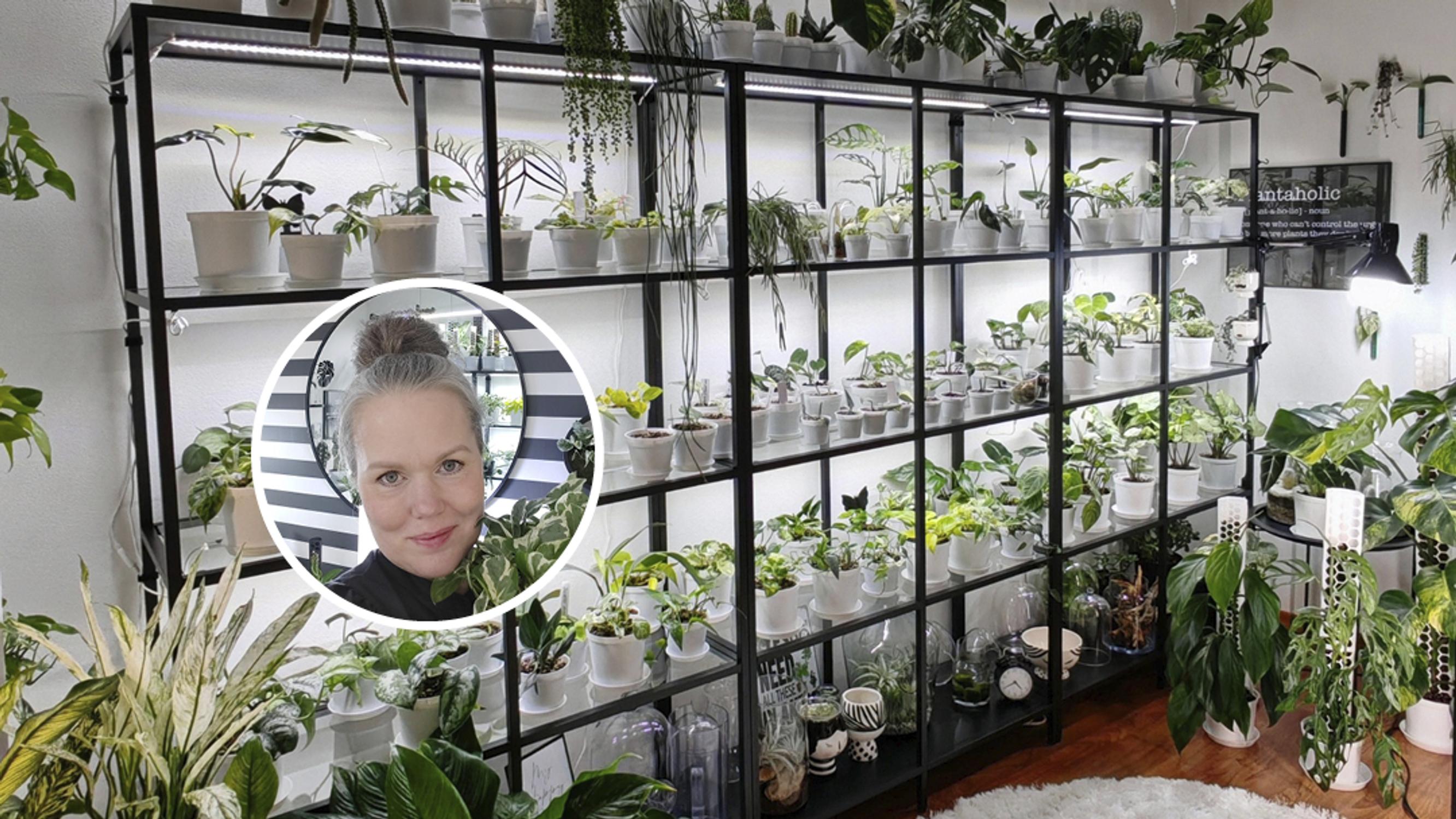 Nina muutti tyttären vanhan huoneen satojen kasvien viherhuoneeksi – kasviaarteiden hoitaminen auttaa unohtamaan krooniset kivut