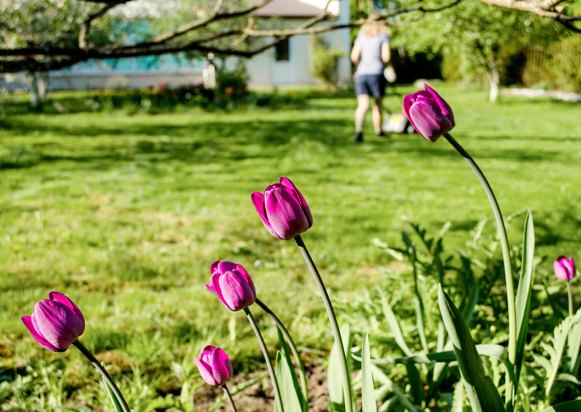 8 vinkkiä akkukoneen valintaan