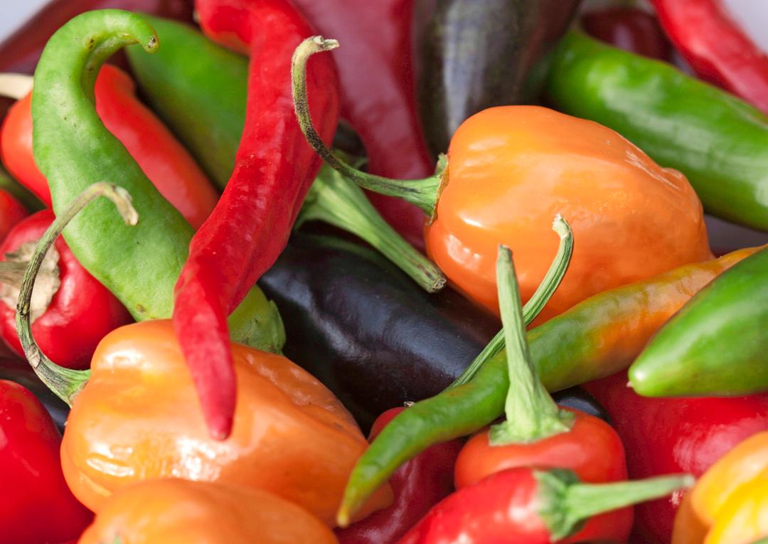 Chilin kasvatus näin se onnistuu vaikka ikkunalaudalla! Meillä kotona