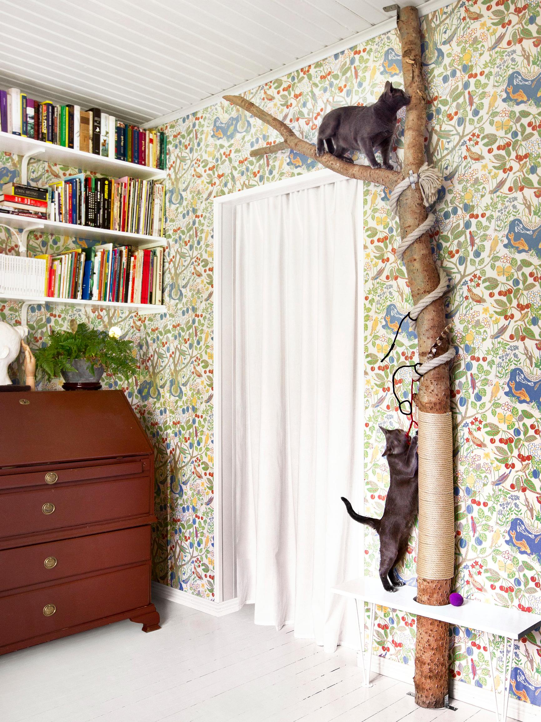 Tee itse kissan kiipeilypuu