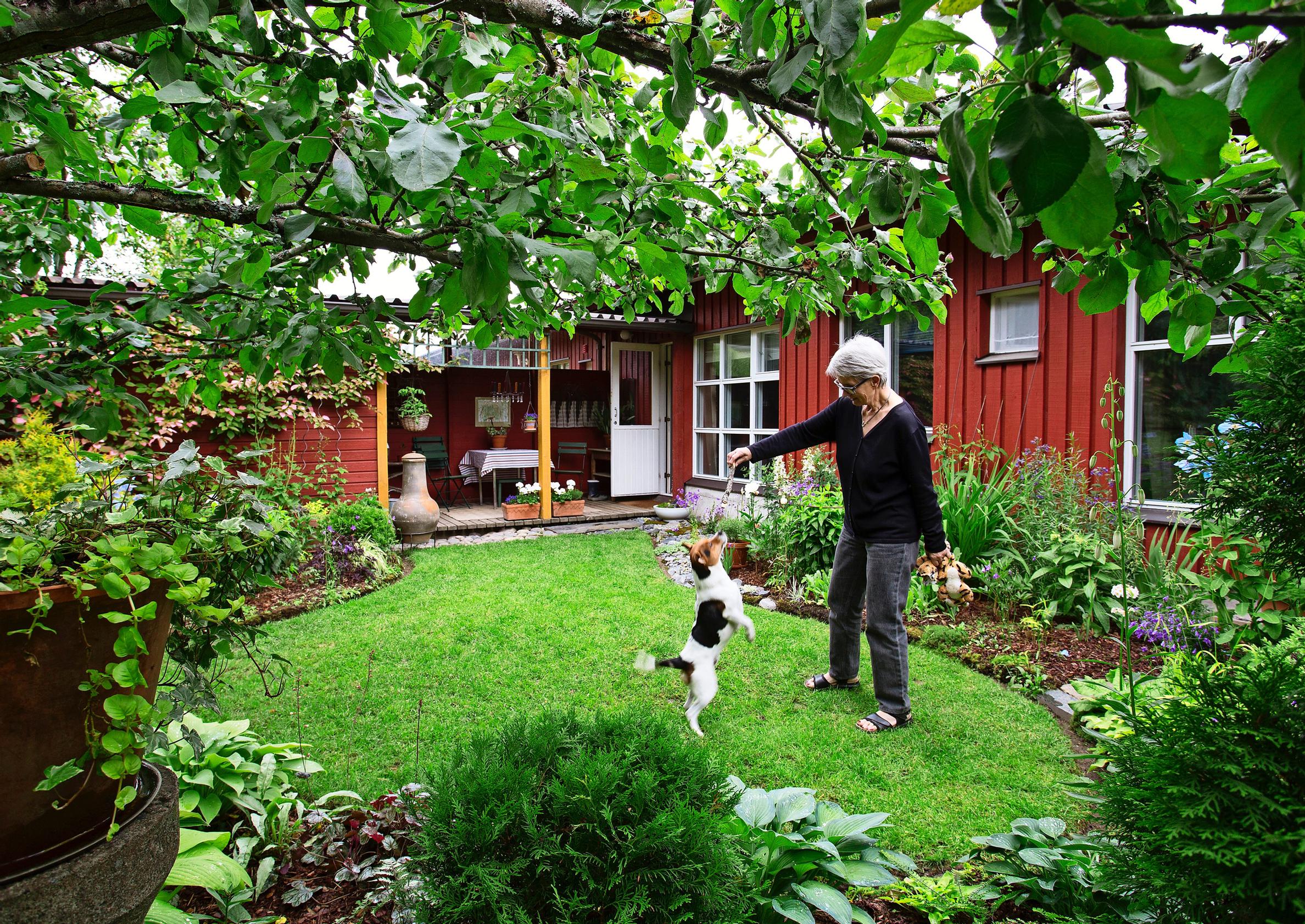 Nannan pikkupiha muuttui vehreäksi keitaaksi – näin se onnistui!