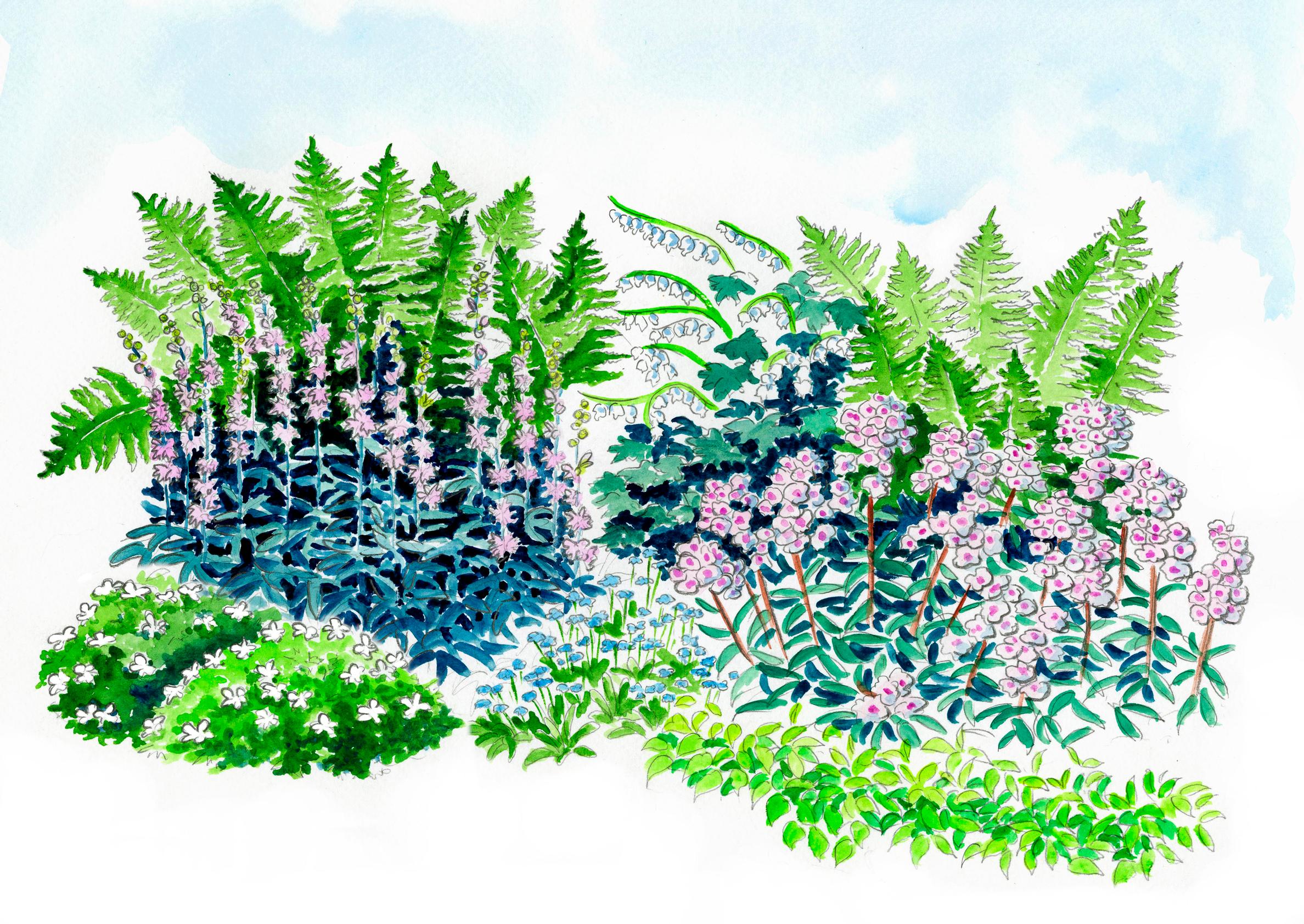 Istutussuunnitelma: romantikon perennapenkki