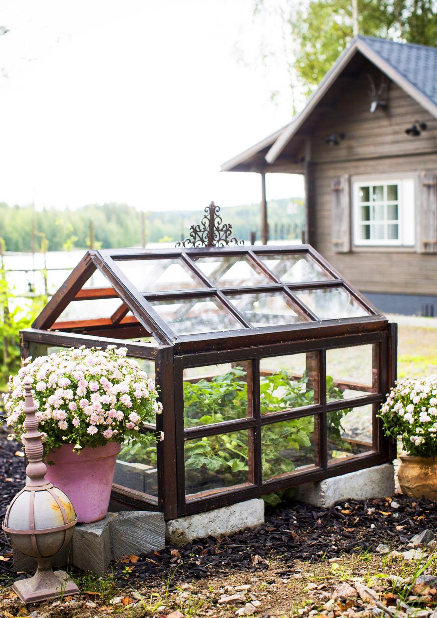 Pieni kasvihuone vanhoista ikkunoista