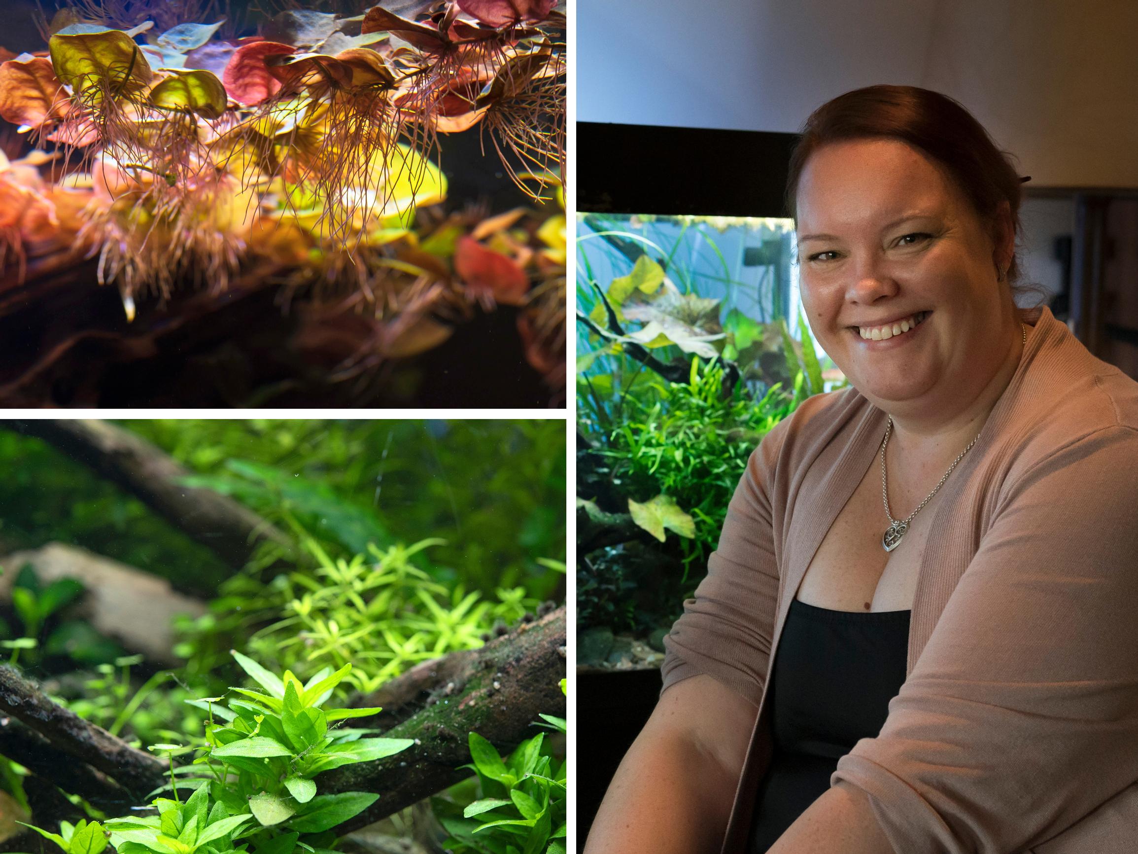 Mikä ihmeen akvaskeippaus? Marita hurahti vedenalaisten minimaisemien rakentamiseen: ”En vieläkään käsitä, miten olen päätynyt tähän”