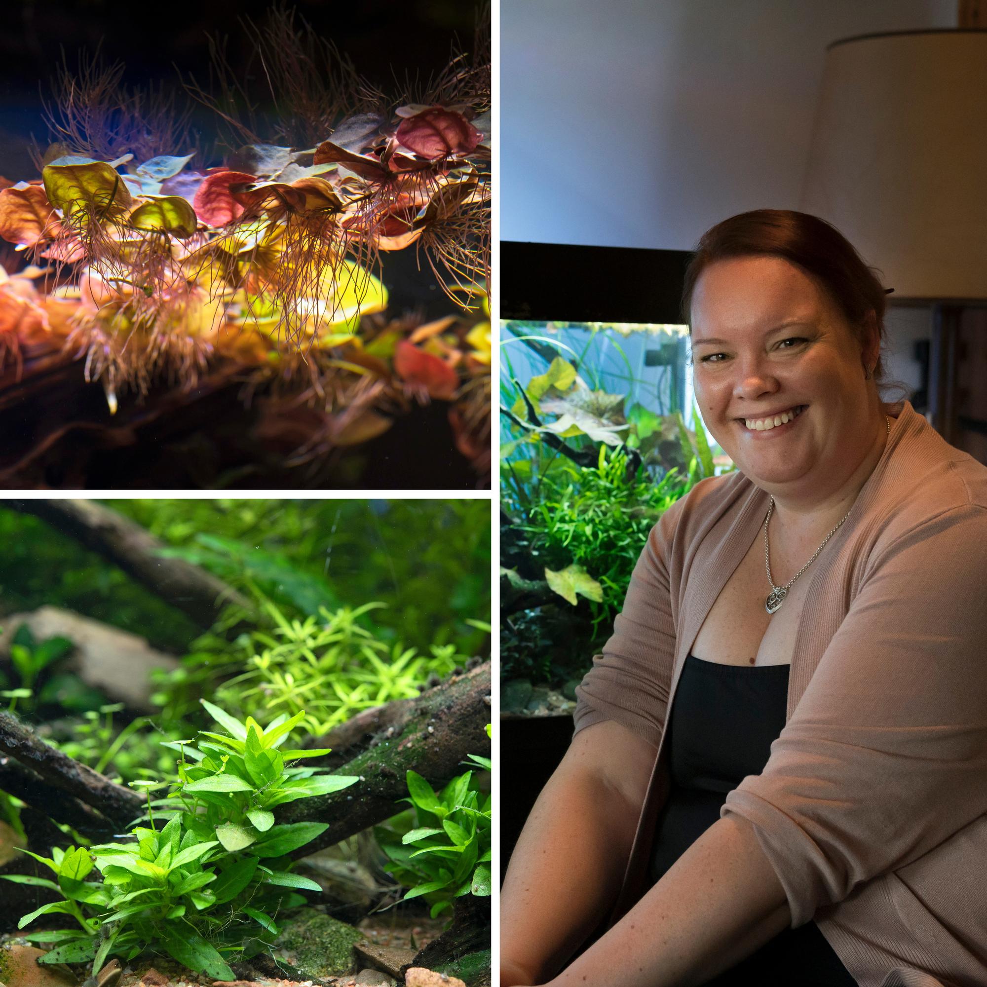 Mikä ihmeen akvaskeippaus? Marita hurahti vedenalaisten minimaisemien rakentamiseen: ”En vieläkään käsitä, miten olen päätynyt tähän”