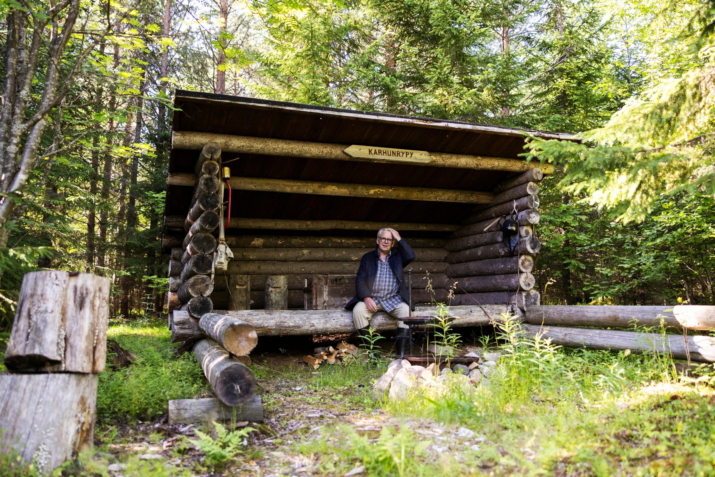Laavu metsässä