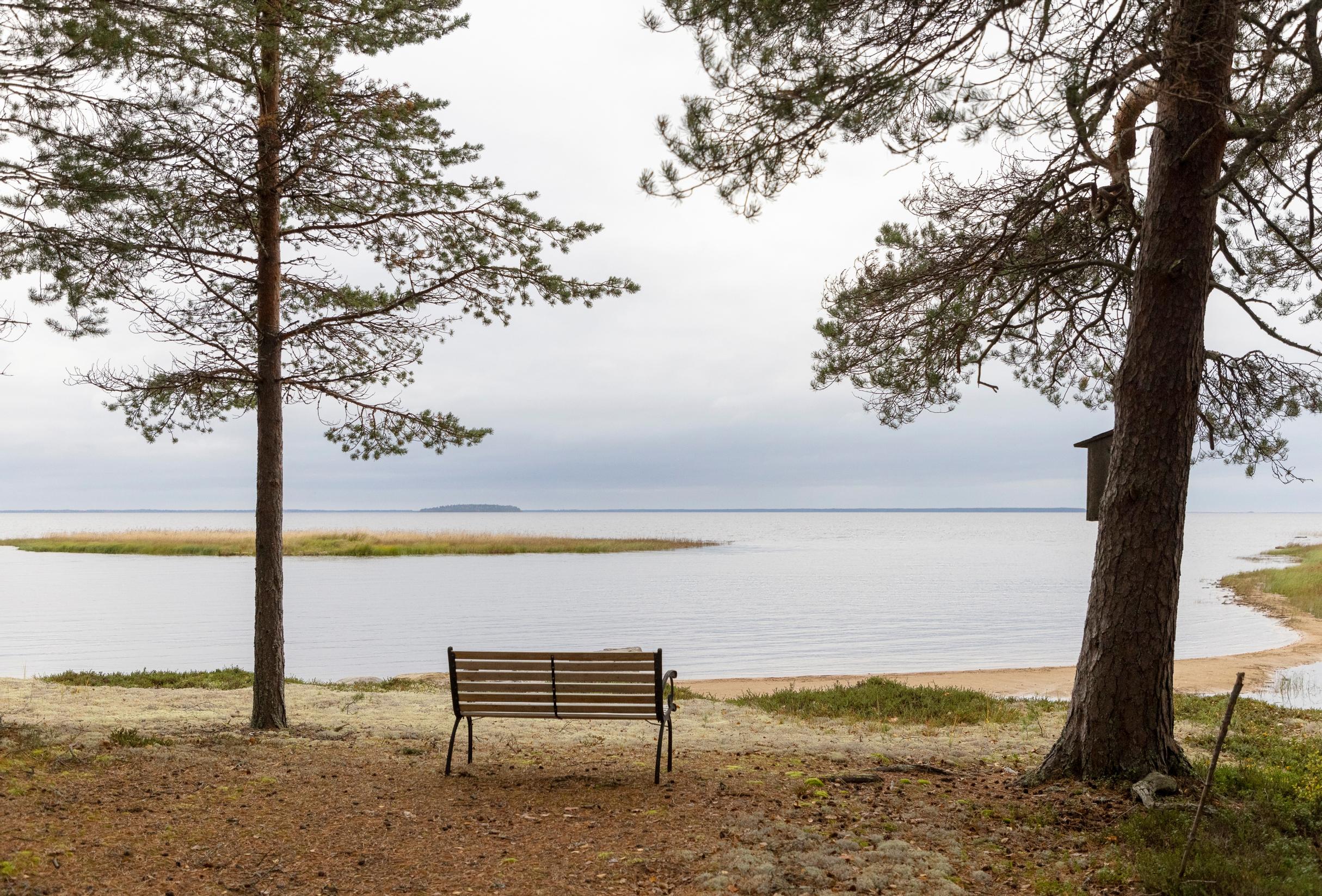tyhjä penkki rannalla, järvinäkymä, hiekkarantaa ja pari puuta