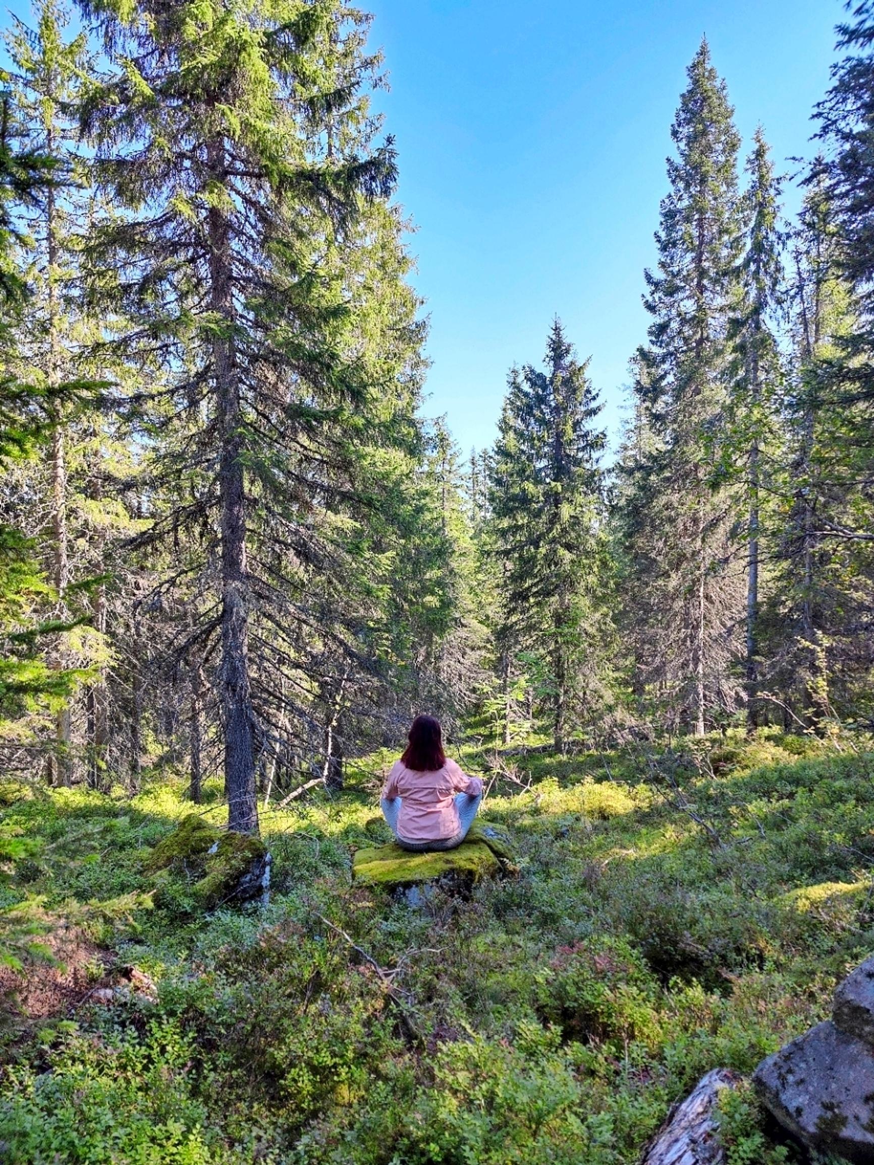 Nainen joogaa metsän keskellä
