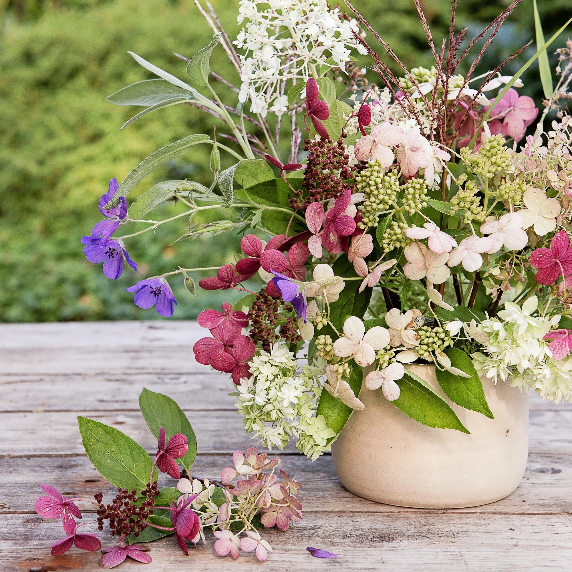 Ota avuksi pala kanaverkkoa – näin teet kesän ihanimman kukka-asetelman hortensiasta